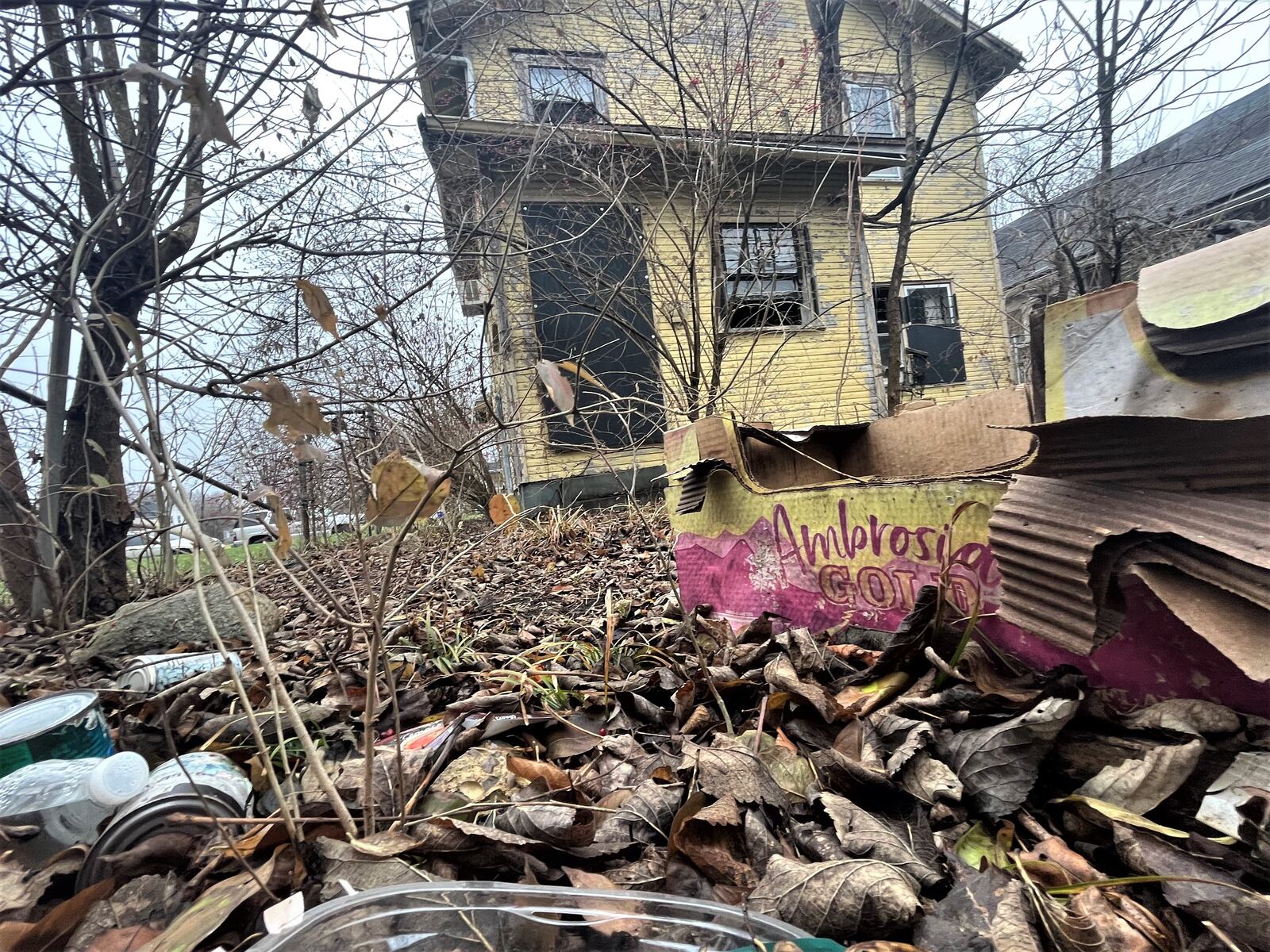 Trash in the backyard of a nuisance property at 125 Huron Ave. in the Westwood neighborhood. The abandoned property is home to vermin and pests that have bothered neighbors. CORNELIUS FROLIK / STAFF