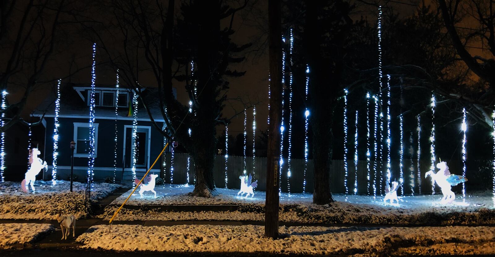 The Crofts’ holiday light display features 5 unicorns and around 4,000 lights hanging from the trees and covering the ground. CONTRIBUTED