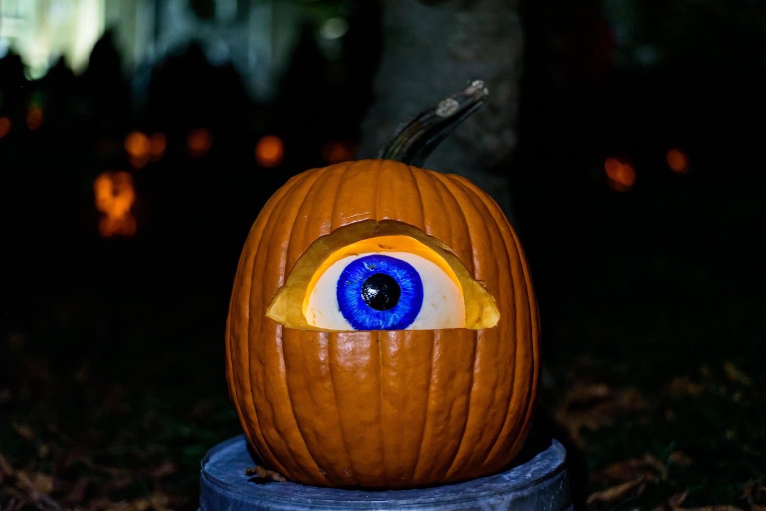 PHOTOS: The 30th annual Stoddard Avenue Pumpkin Glow