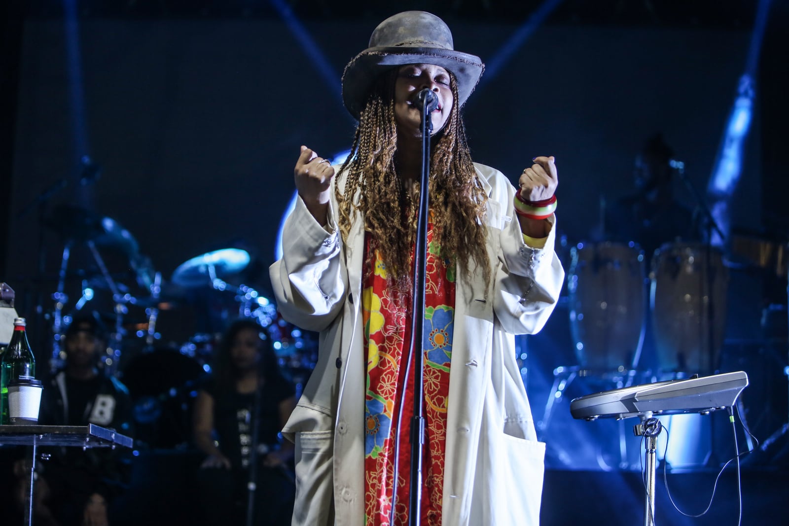 Erykah Badu, photo by Thaddaeus McAdams / ExclusiveAccess.Net