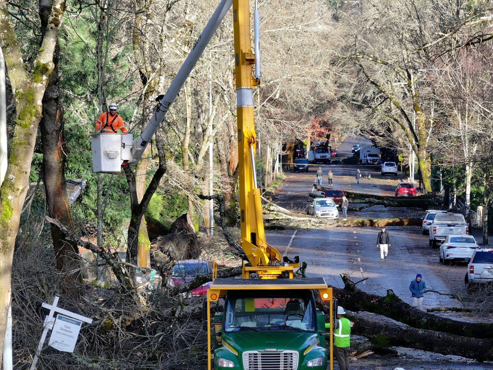 Crews clean up in the aftermath of a "bomb cyclone" on NE 35th St. after severe weather hit last night, in Seattle, Wednesday, Nov. 20, 2024. (Karen Ducey/The Seattle Times via AP)