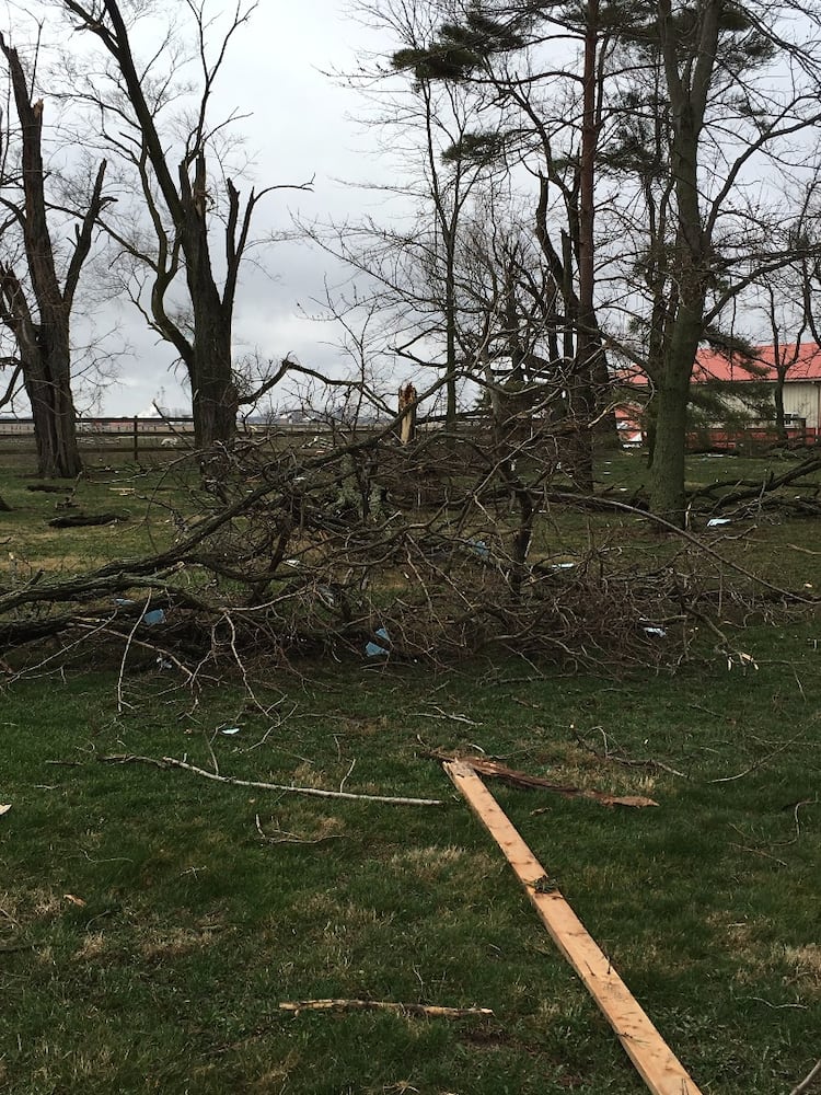 Arcanum Tornado Damage - Trees