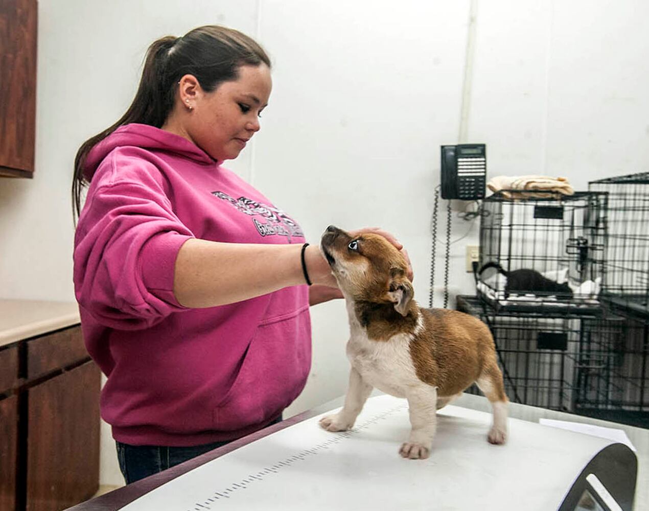 News hounds (6/19/2014)