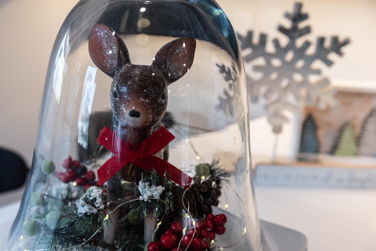 PHOTOS: A Dickens of a Christmas St. Anne’s Hill Holiday Home Tour