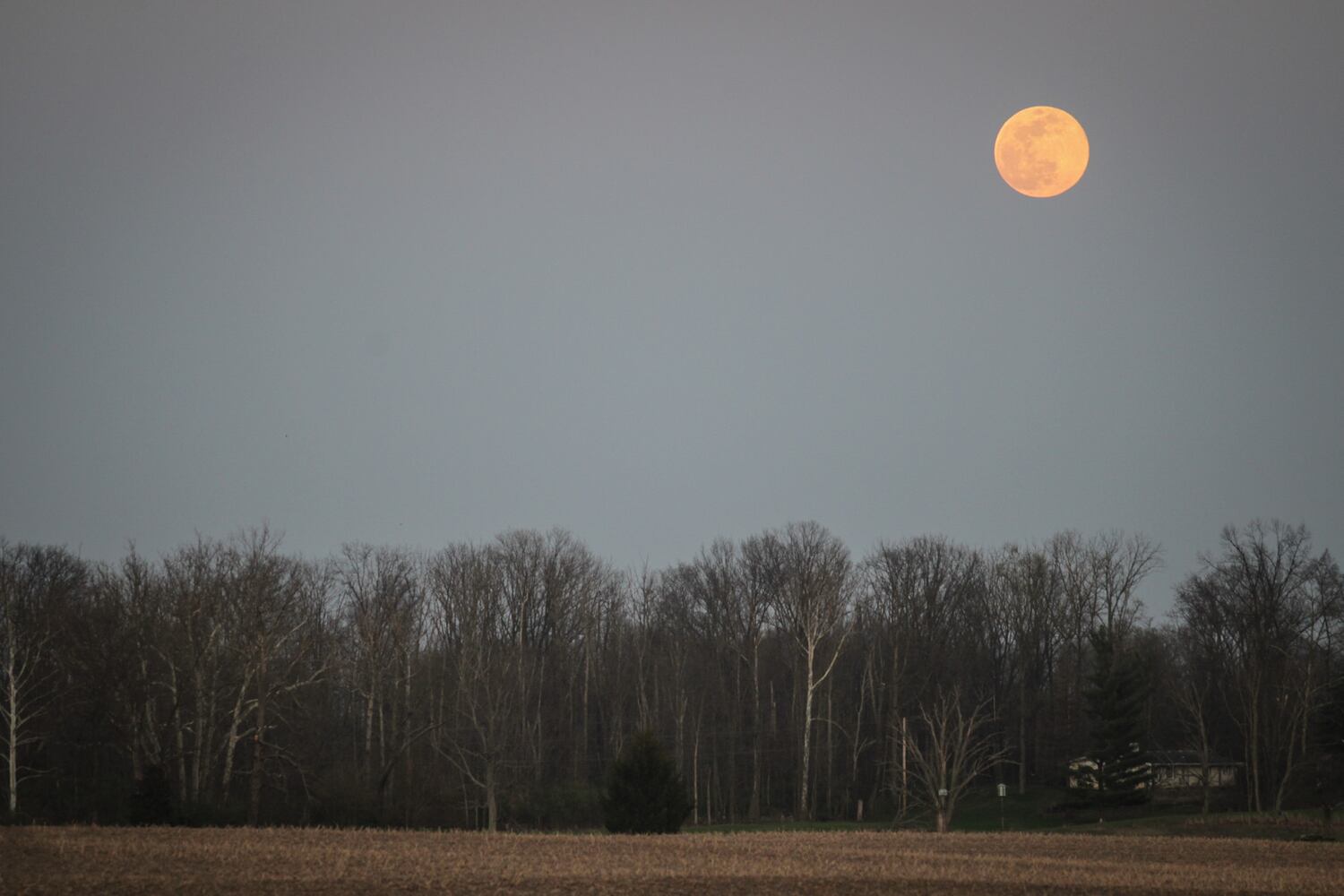 Pink supermoon above Miami Valley