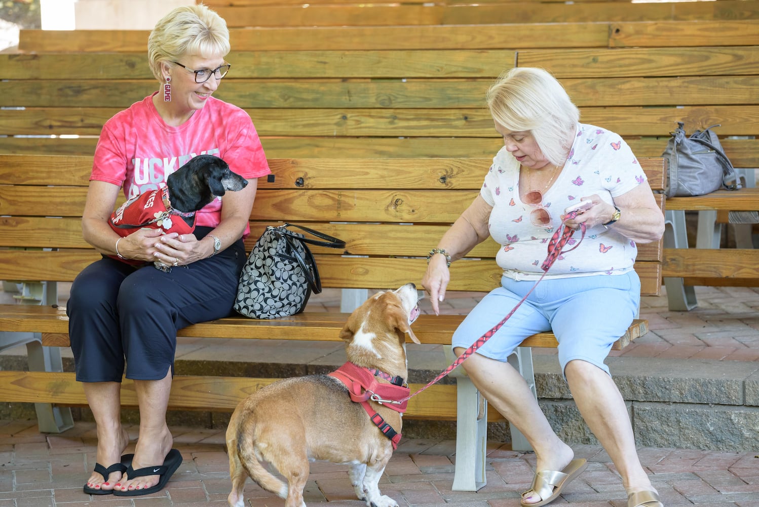 PHOTOS: 2024 Blessing of the Animals at Epiphany Lutheran Church