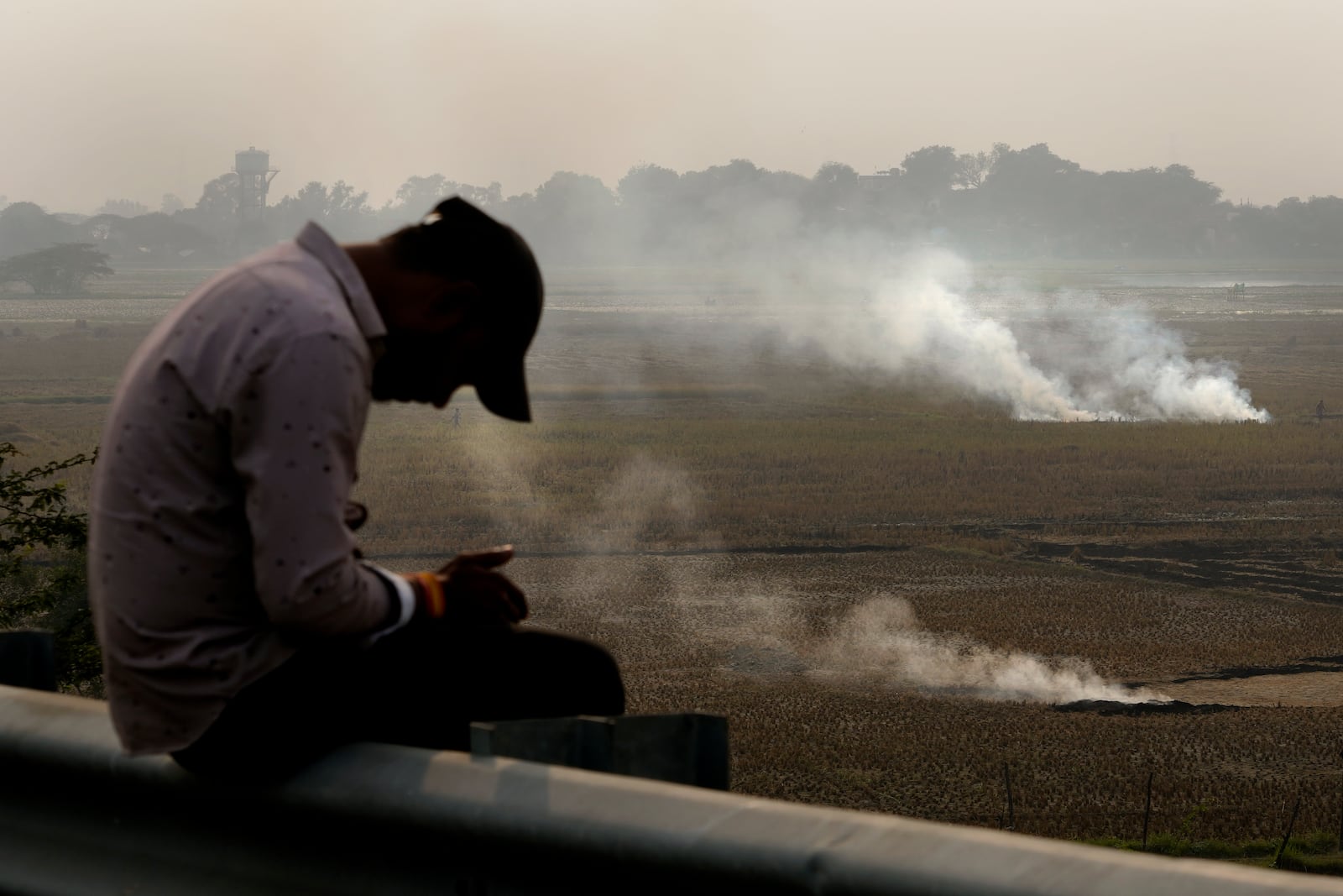 FILE - A person checks his mobile phone as farmers burn crop residue after harvest near Bundelkhand expressway in India, Nov. 17, 2024. (AP Photo/Manish Swarup, File)