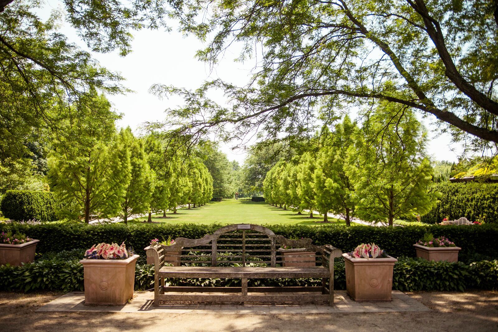 Wegerzyn Gardens offers many picturesque views. PHOTO CREDIT: Jessica Valle