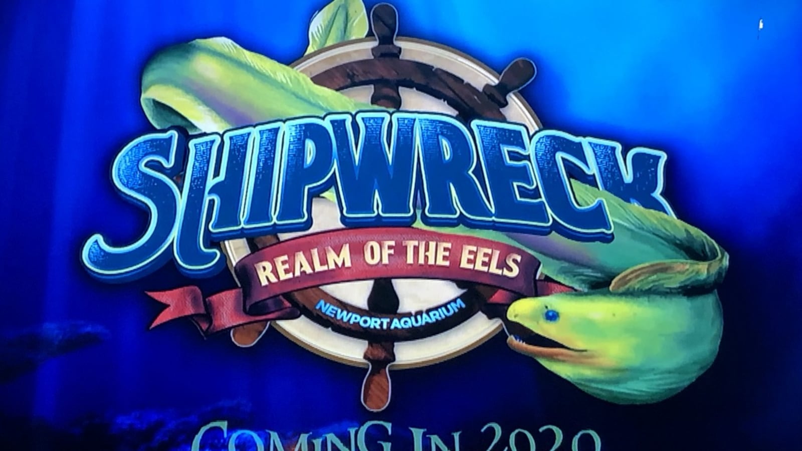 "Shipwreck: Realm of the Eels," an artificial reef officials say will teem with undersea life, is coming to the Newport Aquarium next spring.