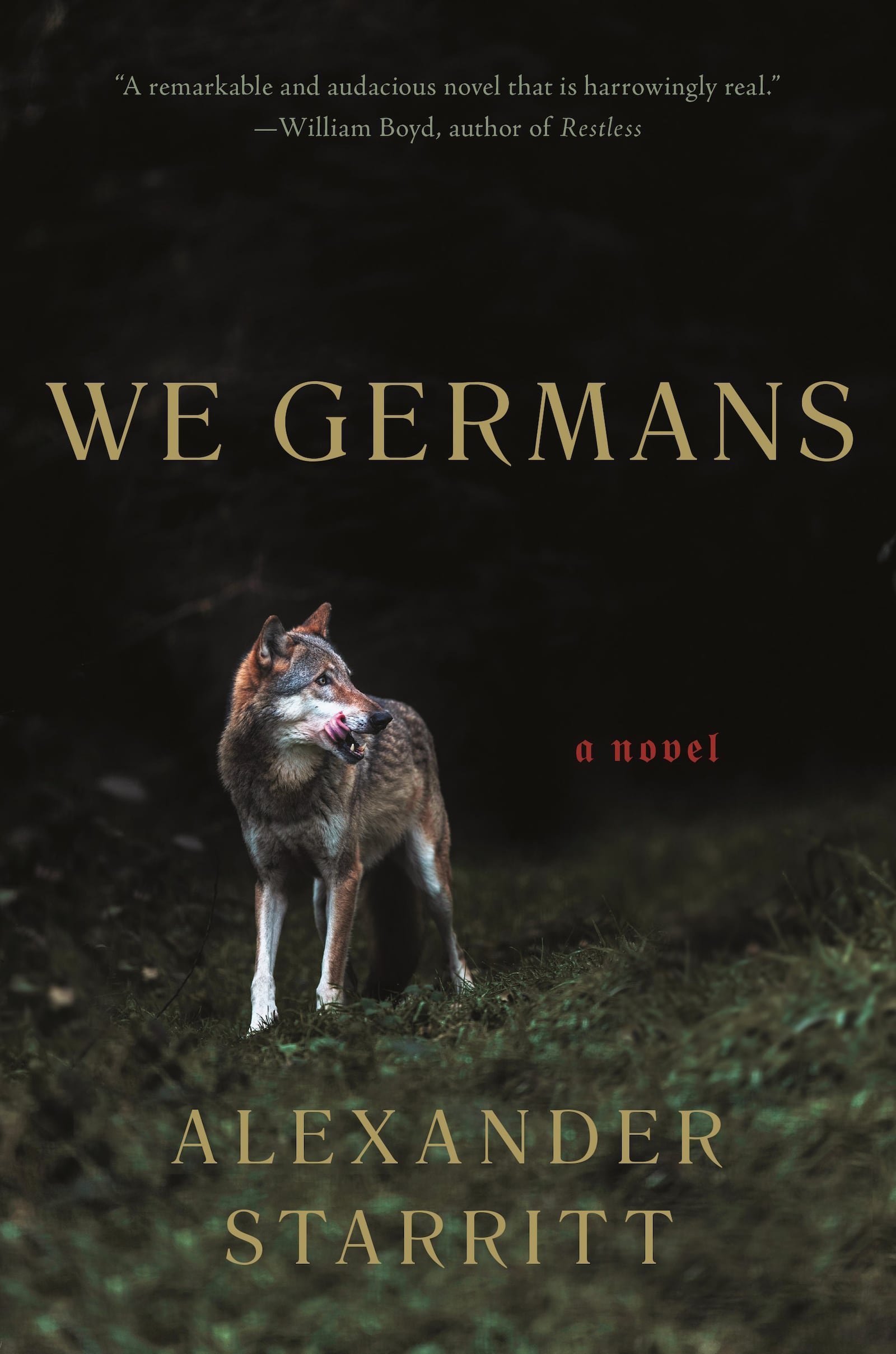 We Germans by Alexander Starritt