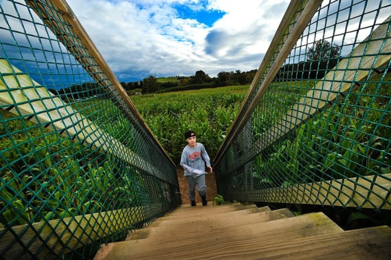 Apple Country Farm Market's corn maze offers an adventure for all ages. CONTRIBUTED