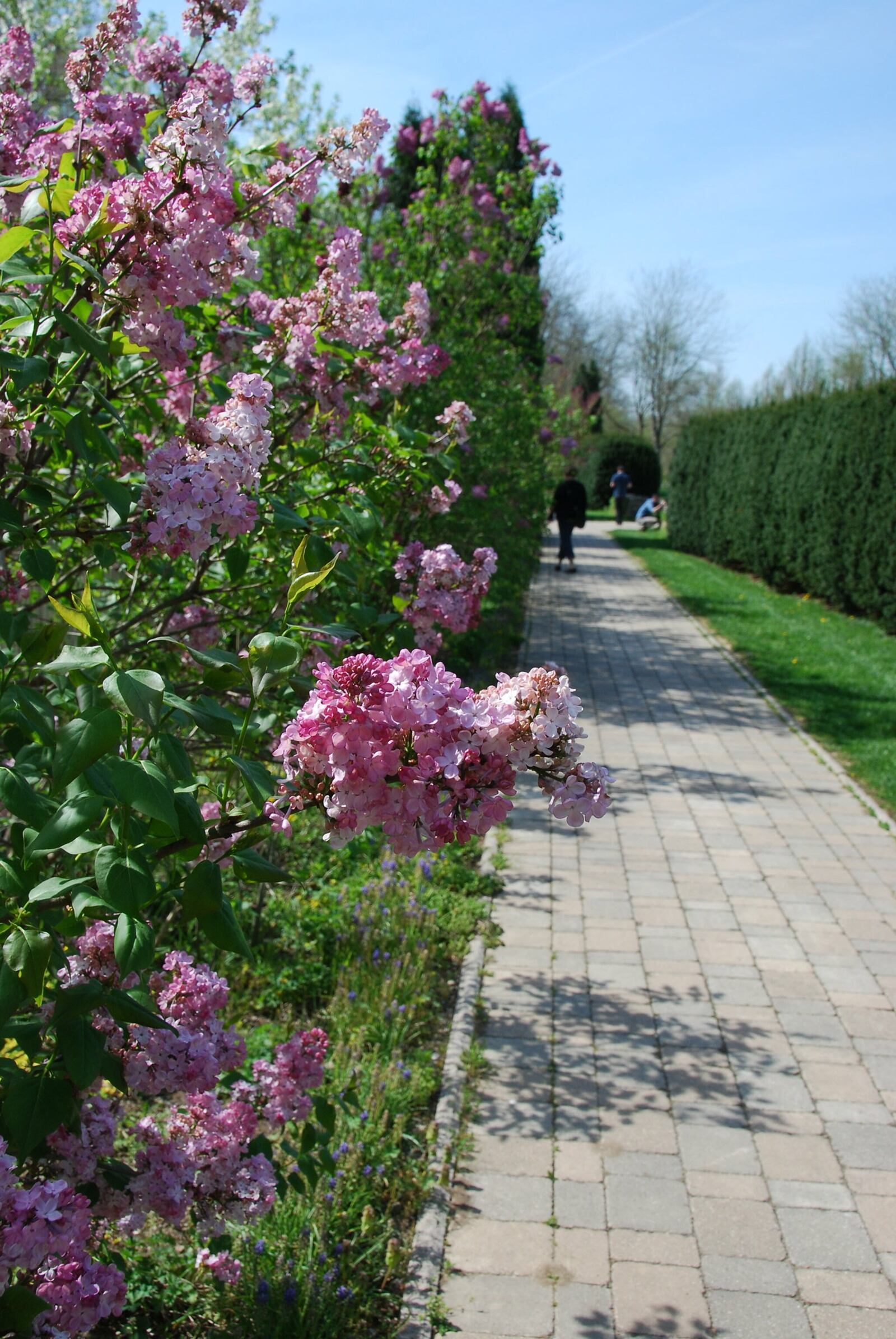 The colorful formal gardens at Wegerzyn Gardens MetroPark are ideal for an afternoon stroll. CONTRIBUTED