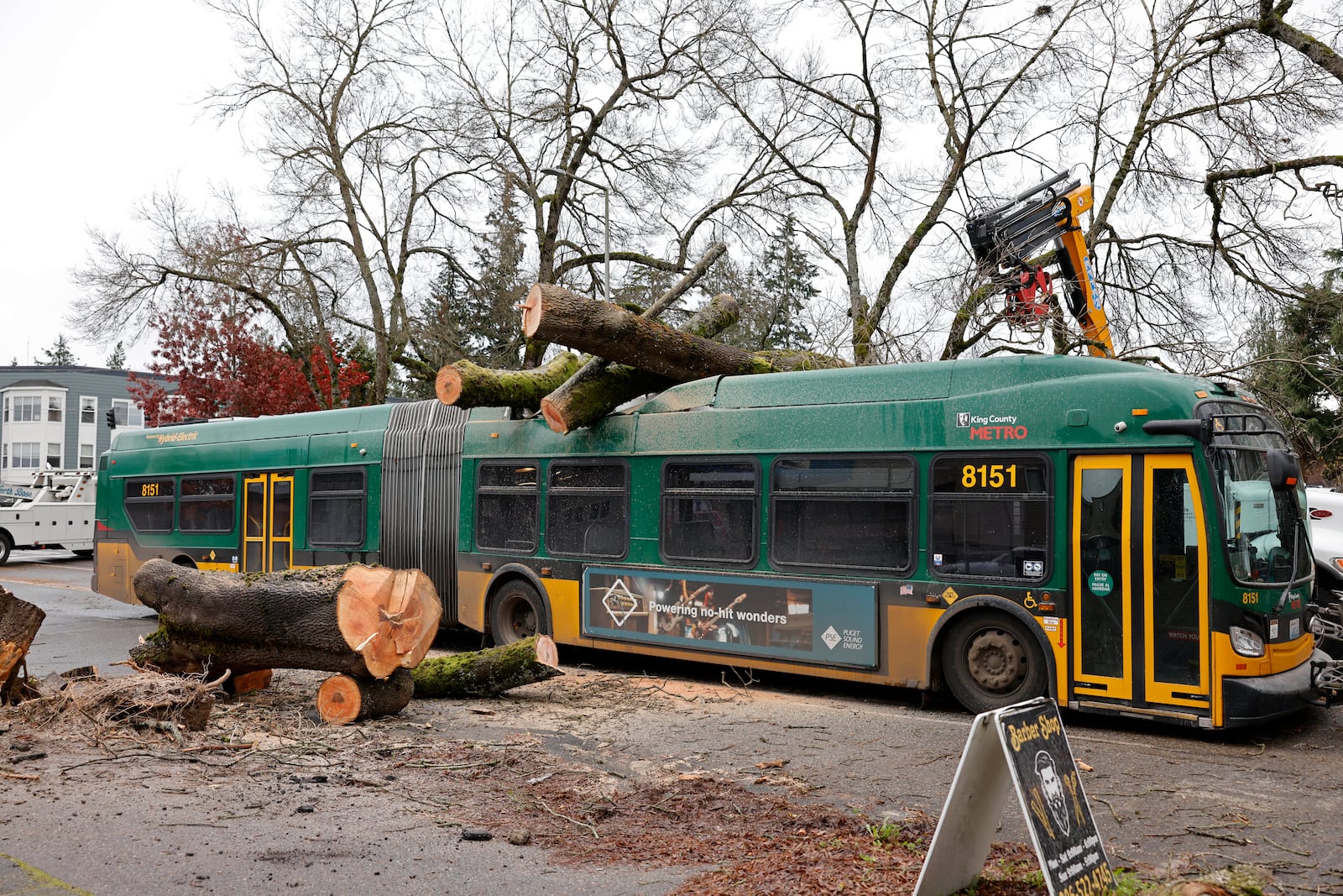 Seattle Metro bus has the remnants of a tree removed at 35th and NE 95th by Seattle Dept of Transportation in the aftermath of a "bomb cyclone" after severe weather hit last night, in Seattle, Wednesday, Nov. 20, 2024. (Karen Ducey/The Seattle Times via AP)