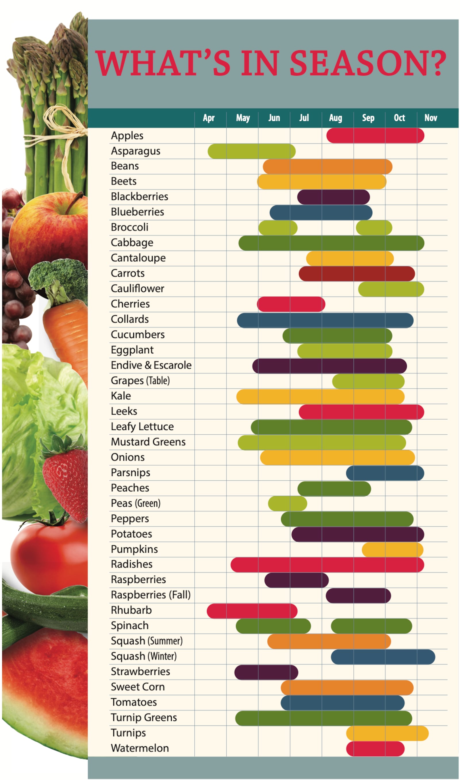 Fruits and vegetables typically grown in Ohio are listed below by month and season. Availability varies according to growing conditions, time of the year and where you live. Many fruits and vegetables are available beyond the indicated harvest periods through modern storage techniques and facilities.