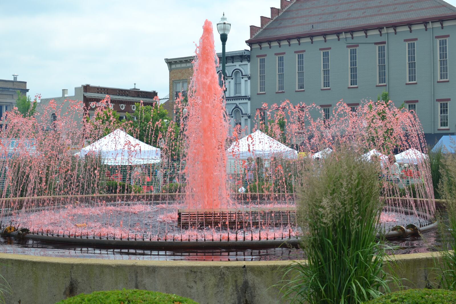 Thousands of strawberry enthusiasts lined the streets of Troy last weekend to take in the sights, sounds and tastes of the 2015 Troy Strawberry Festival on June 6 and 7.