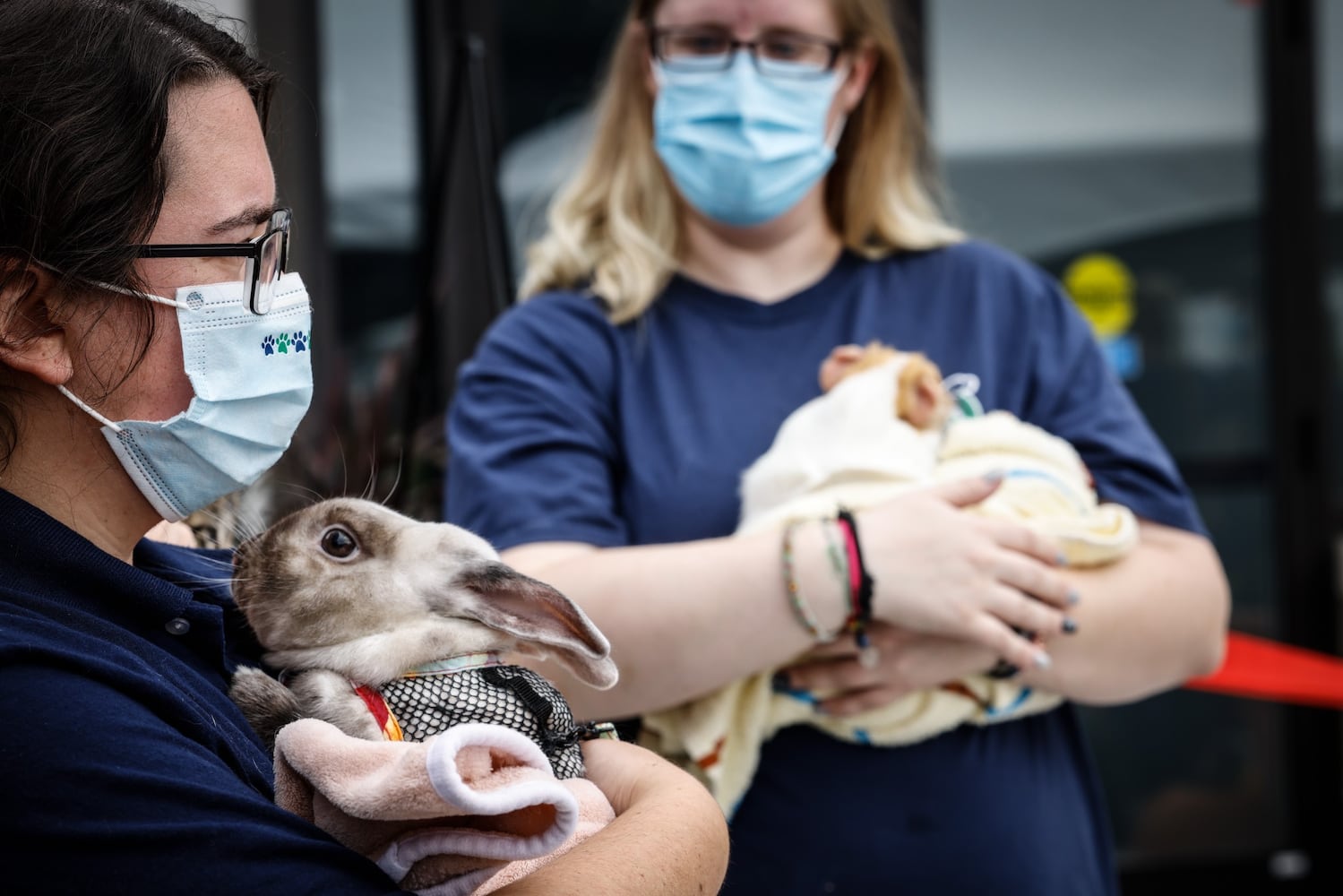 Humane Society of Greater Dayton opens $6M expansion