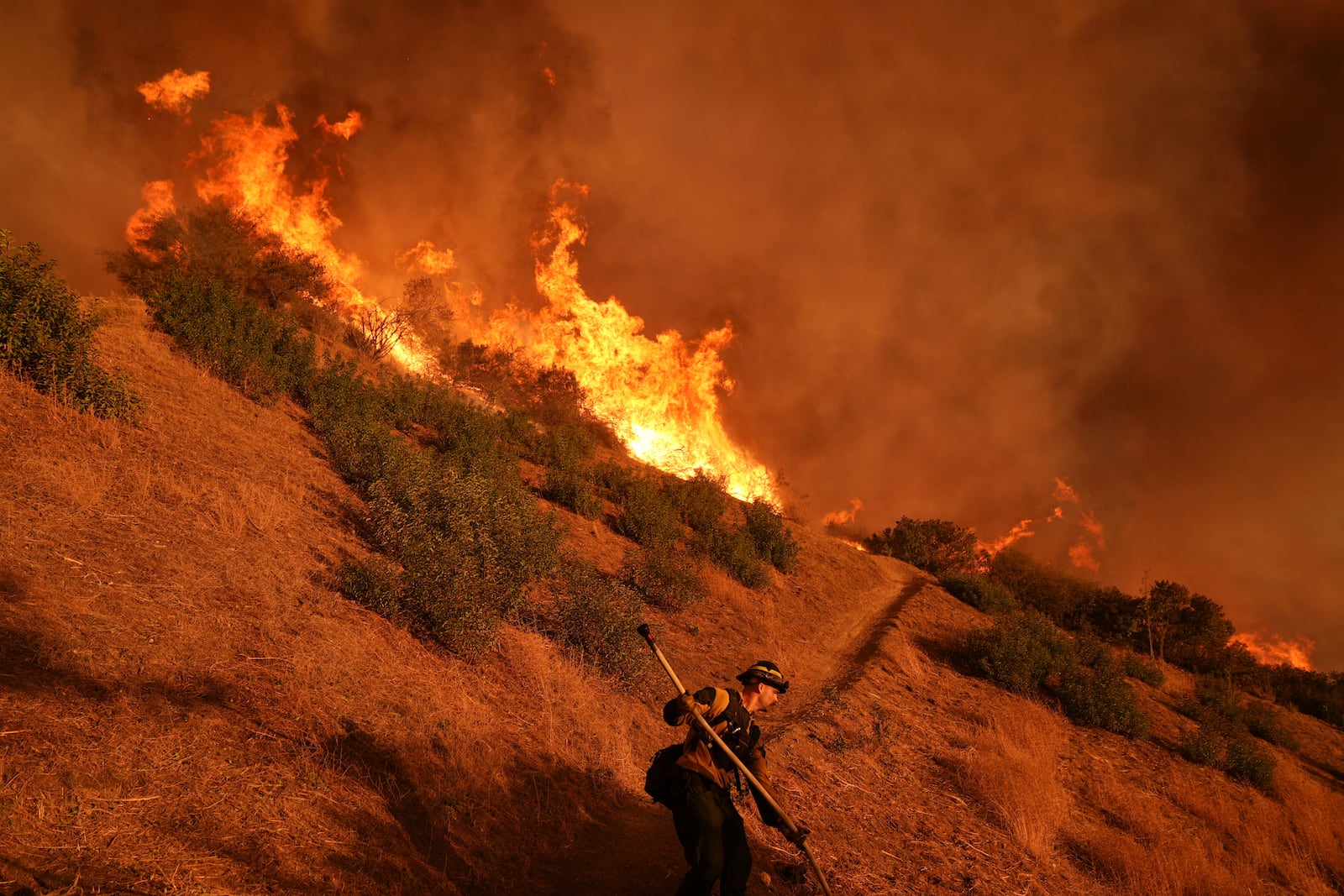 A firefighter battles the Palisades Fire in Mandeville Canyon Saturday, Jan. 11, 2025, in Los Angeles. (AP Photo/Jae C. Hong)