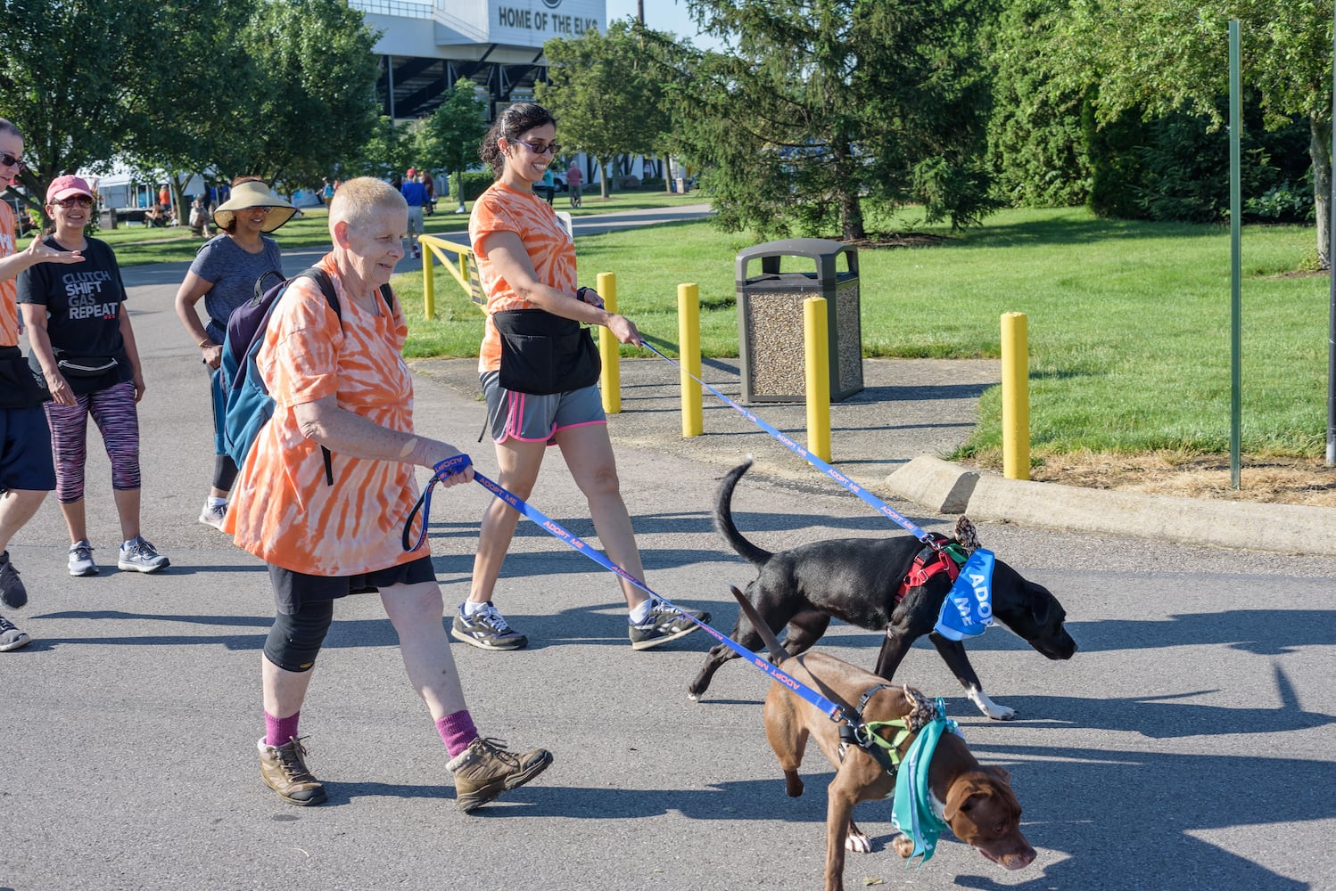 PHOTOS: Did we spot you and your doggie at SICSA’s Lift Your Leg fun run/walk?