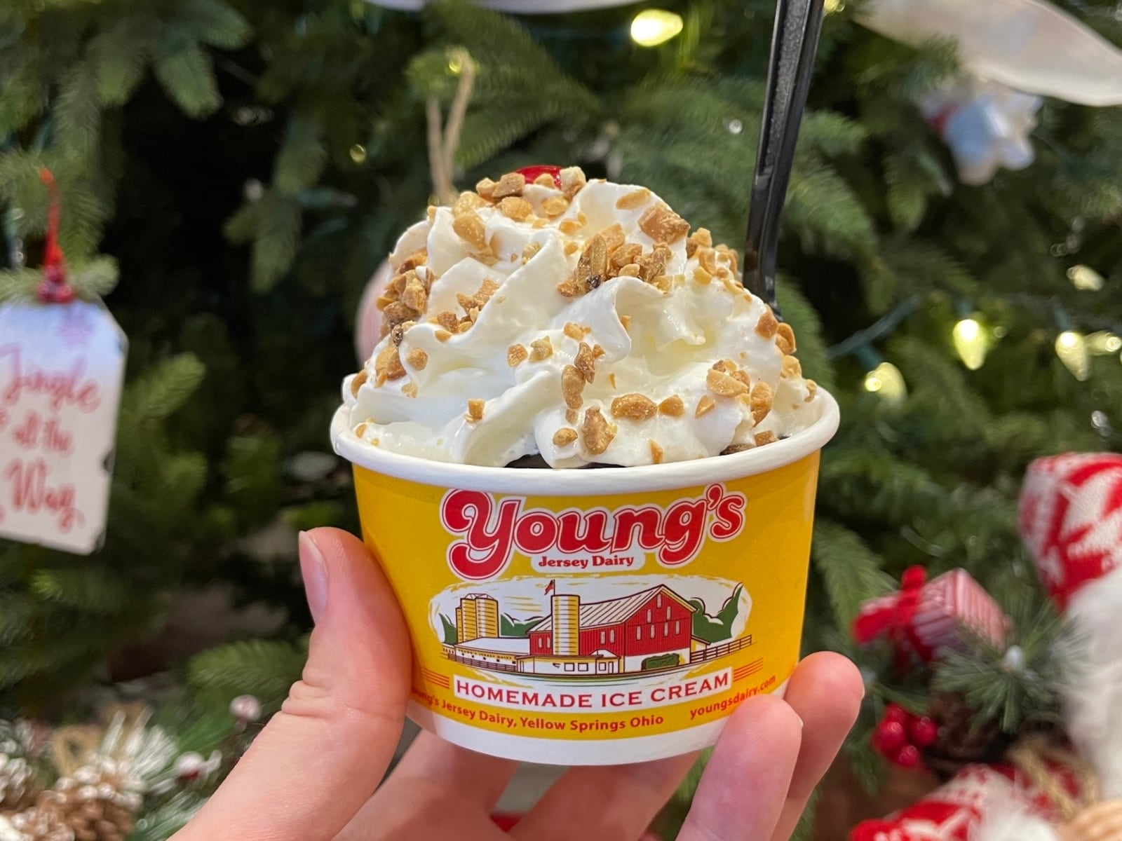 Young’s Jersey Dairy is kicking off the holiday season with its first ever tree lighting event on Nov. 23 (FACEBOOK PHOTO).