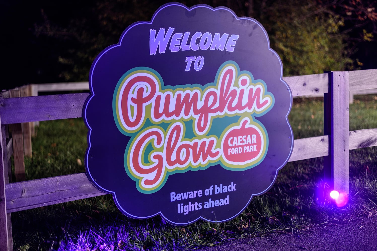 PHOTOS: 2024 Pumpkin Glow at Caesar Ford Park