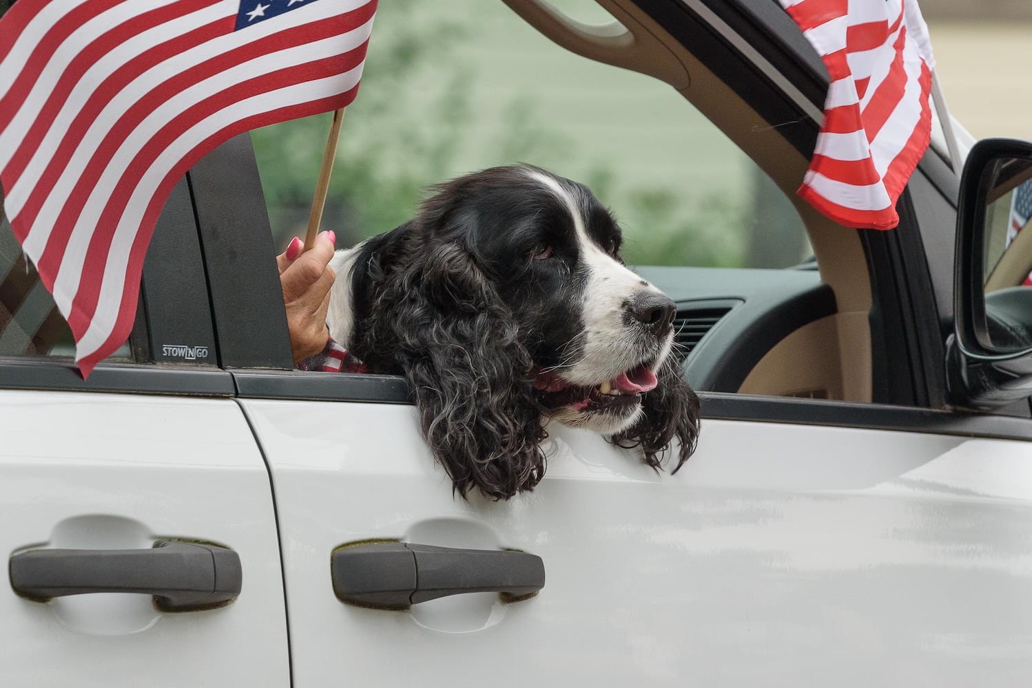 PHOTOS: 51st Centerville-Washington Township Americana Festival Parade