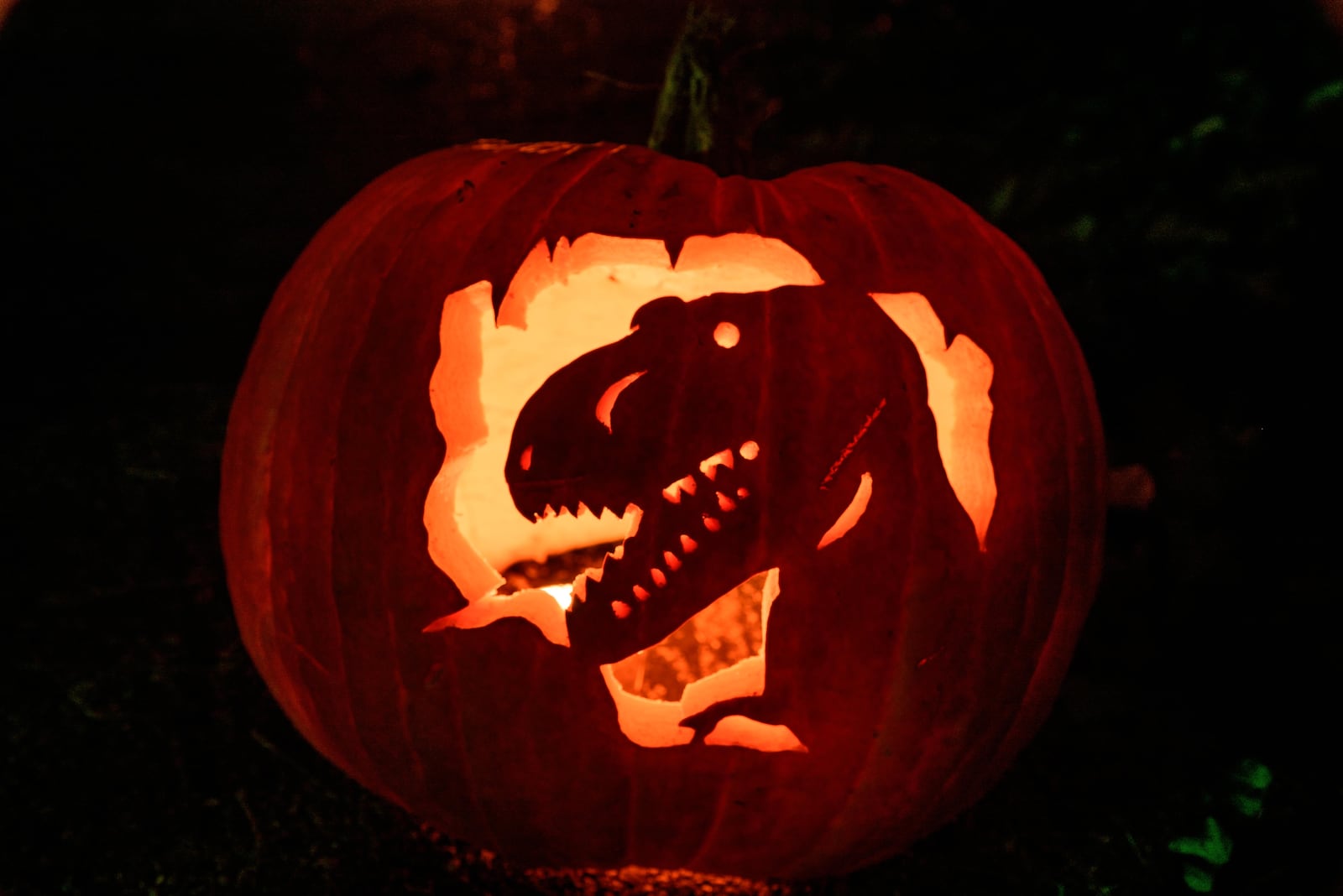 The Dayton community came together to carve over 1,000 pumpkins for the 2021 Stoddard Avenue Pumpkin Glow. TOM GILLIAM / CONTRIBUTING PHOTOGRAPHER