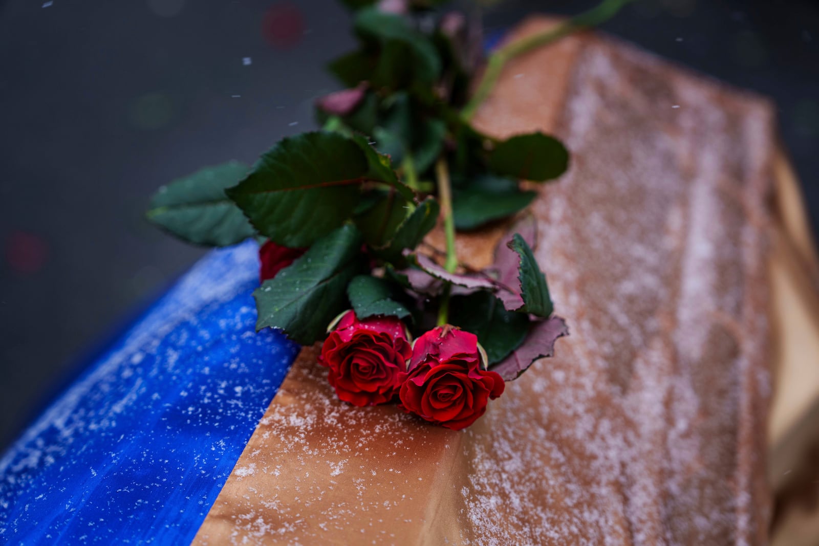 FILE - Flowers are seen on a coffin during a funeral for Kateryna Zapishnya, 38, Diana Zapishnya, 12, Danyil Zapishnyi, 8, Serhii Zapishnyi, 40, Dmytro Yavorskyi, 37, Sofia Yavorska, 9, and Olena Yavorska, 38, who were killed Feb. 1 by a Russian strike on a residential building in Poltava, Ukraine, Wednesday, Feb. 5, 2025. (AP Photo/Evgeniy Maloletka, File)