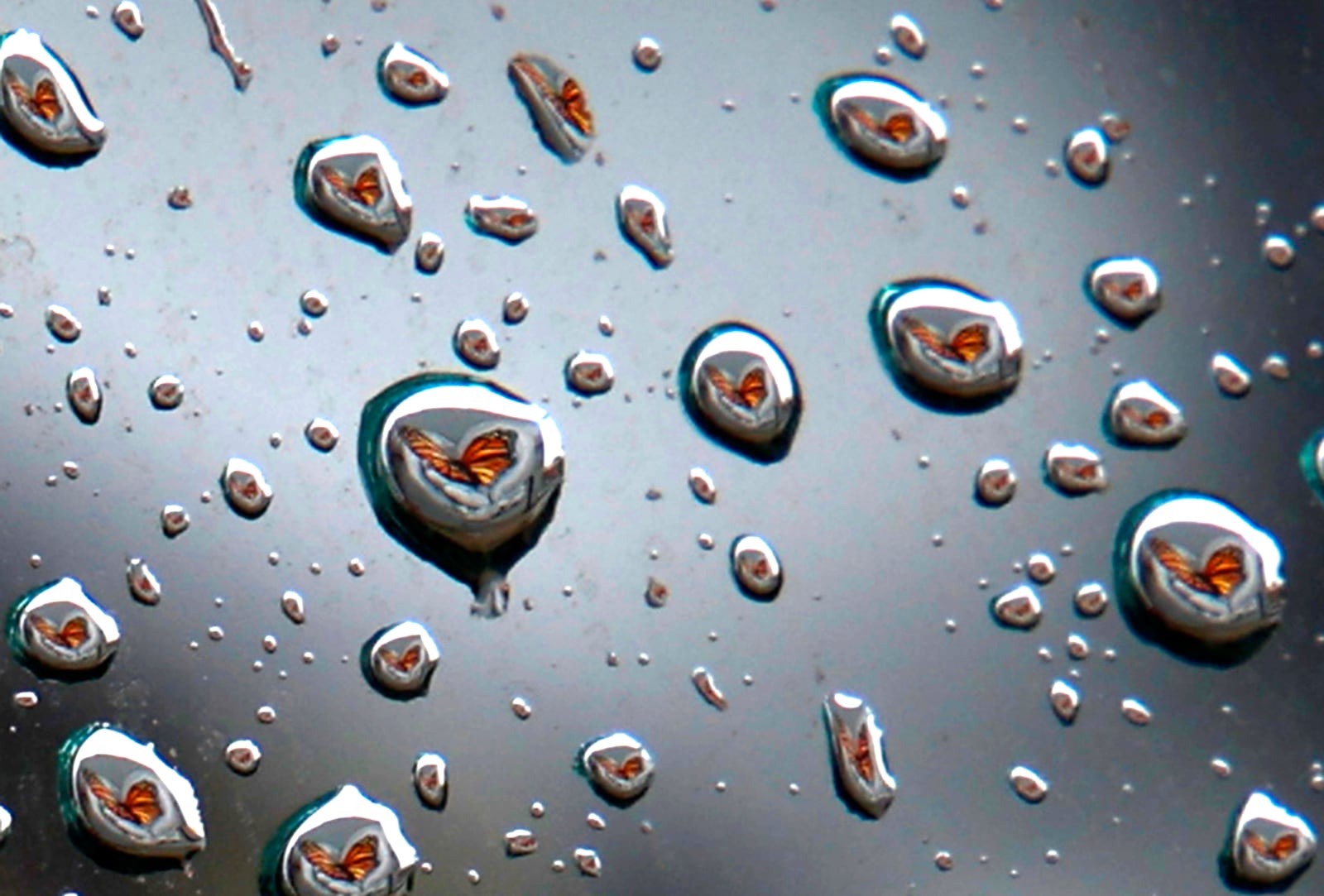 The "Transformation" butterfly mural on the back of the State Theater is reflected in the tiny drops of water on a car window Wednesday, Jan. 24, 2024. BILL LACKEY/STAFF