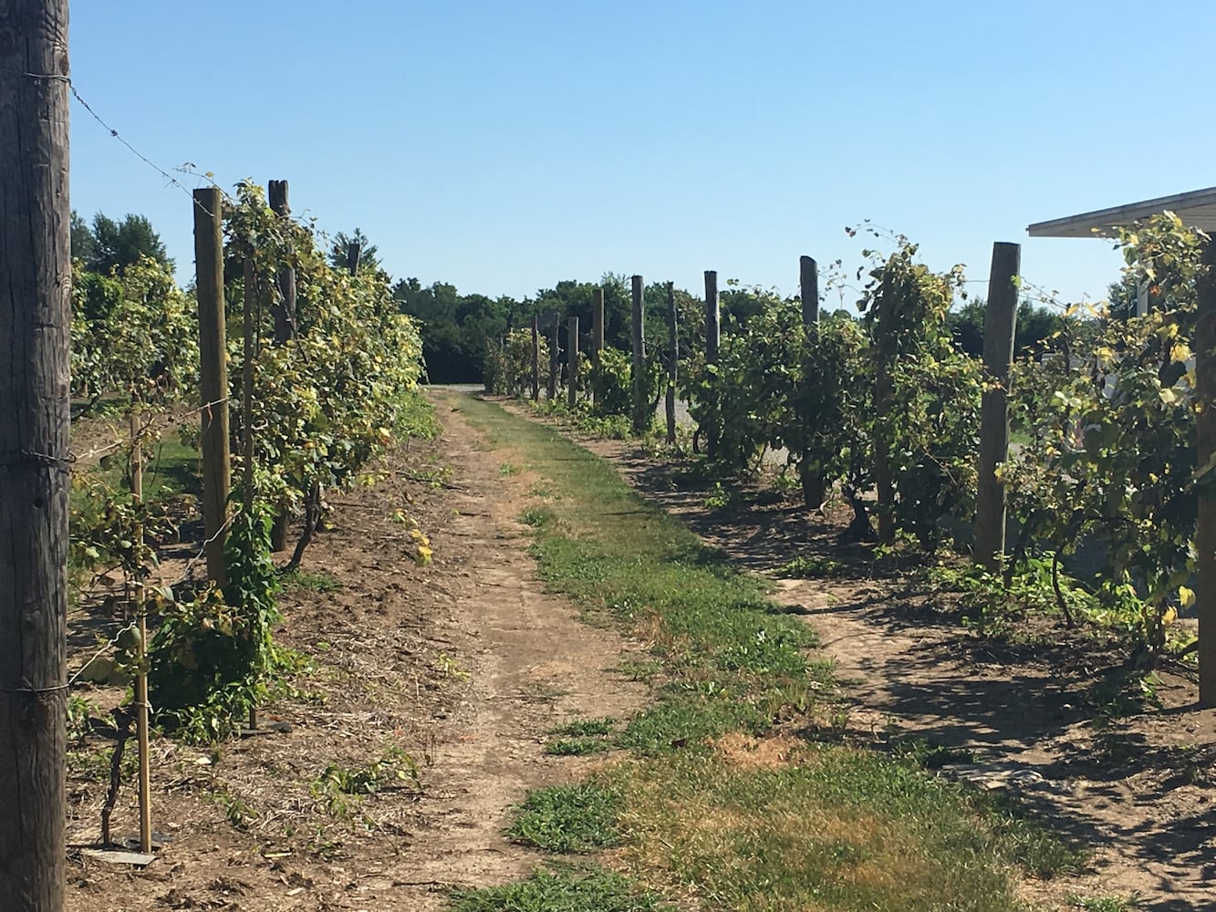 Hidden Valley Orchards