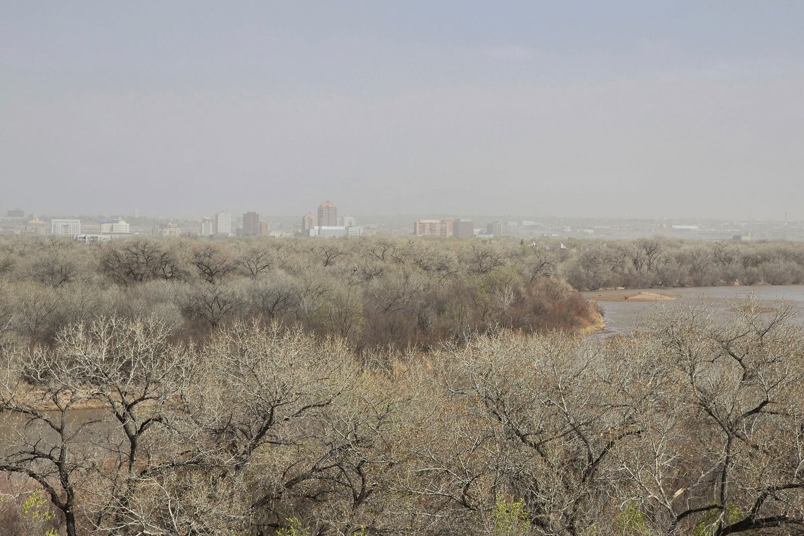 Dust fills the sky in Albuquerque, N.M., Tuesday, March 18, 2025. (AP Photo/Felicia Fonseca)