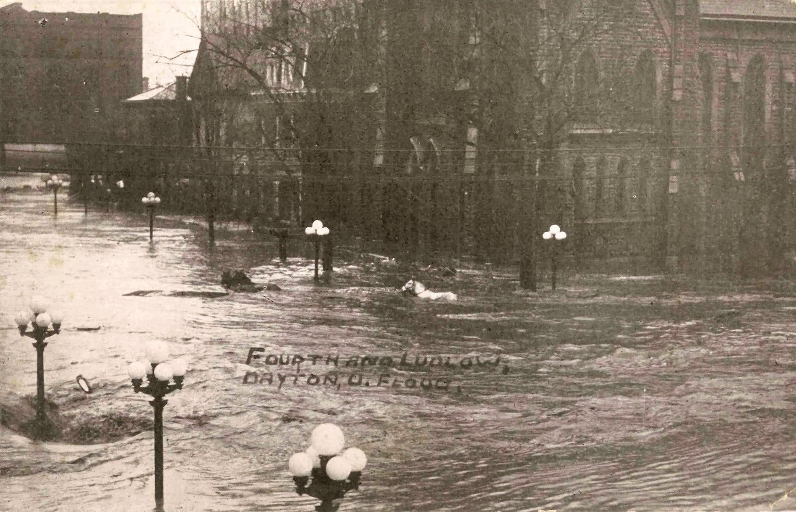 A view horses neck deep in flood waters in Fourth and Ludlow Streets in Dayton. On the back is written, “Horses swimming like this could be seen every where. Often getting tangled in trees or brushwood and drowning before our very eyes.” DAYTON METRO LIBRARY