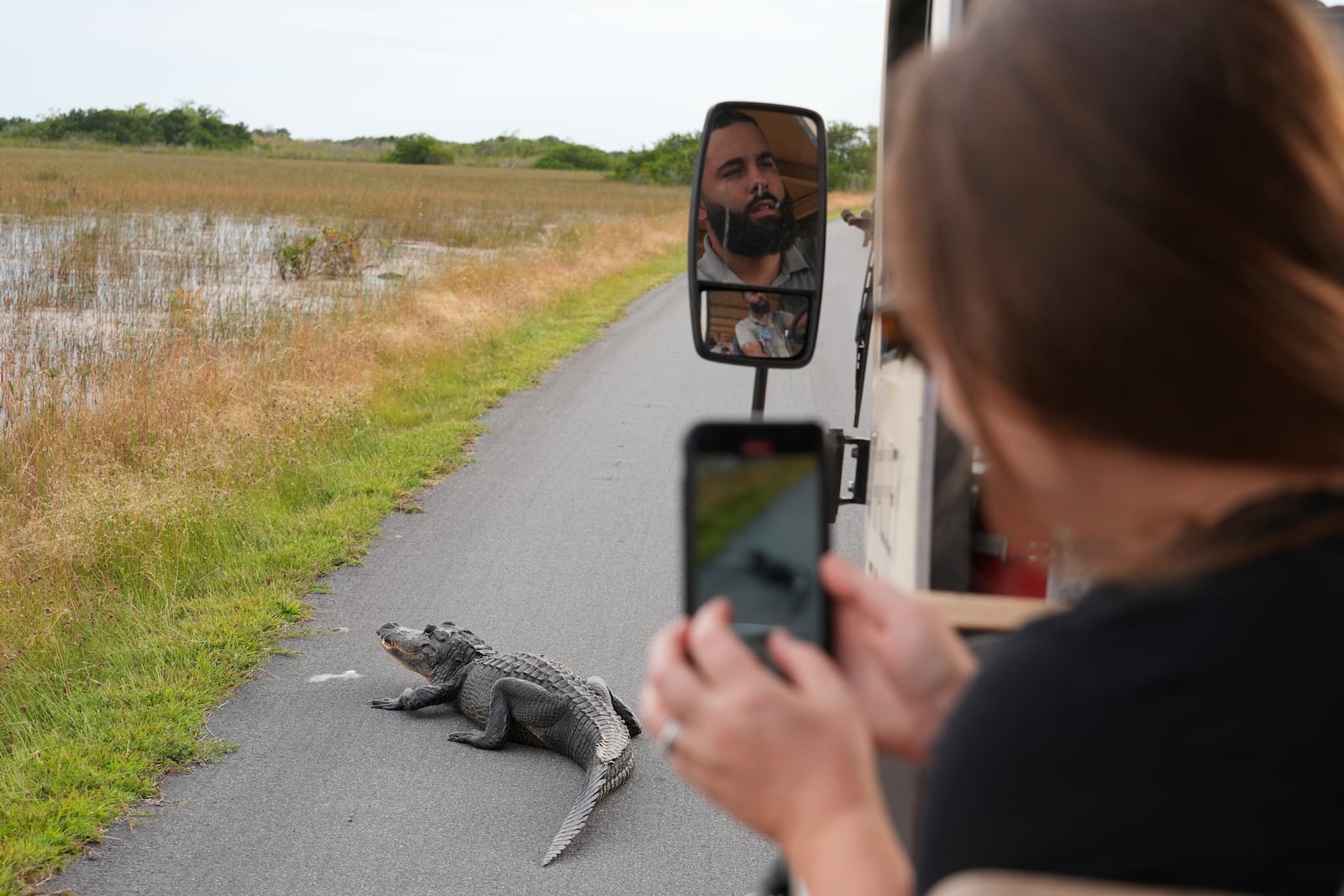 Naturalist tour guide Juan Macias is reflected in the tram's mirror as a tourist photographs an alligator in the Shark Valley area of Florida's Everglades National Park, Wednesday, Nov. 20, 2024. (AP Photo/Rebecca Blackwell)