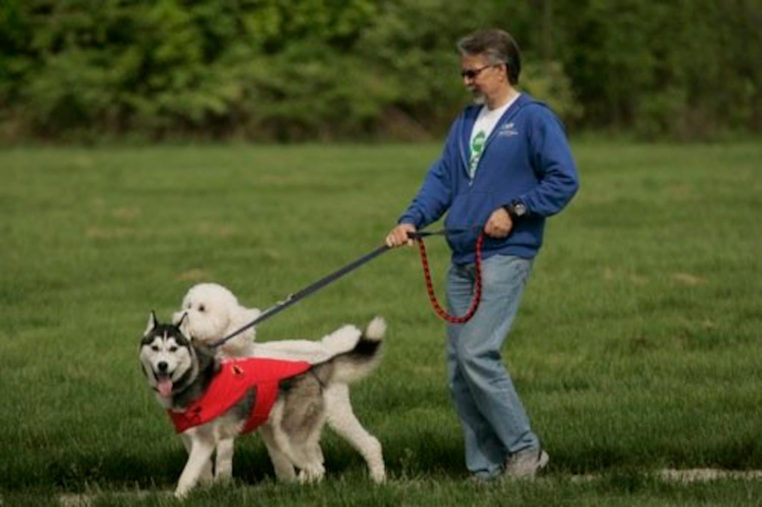 Furry Scurry walk