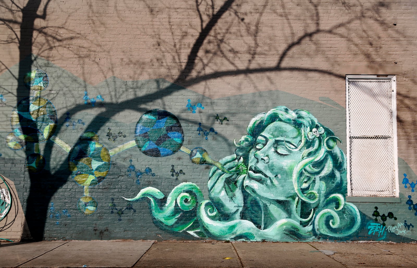 A green goddess has taken over a wall on Jackson Street on the side of the building that houses Toxic Brew, 431 E. Fifth St. LISA POWELL / STAFF