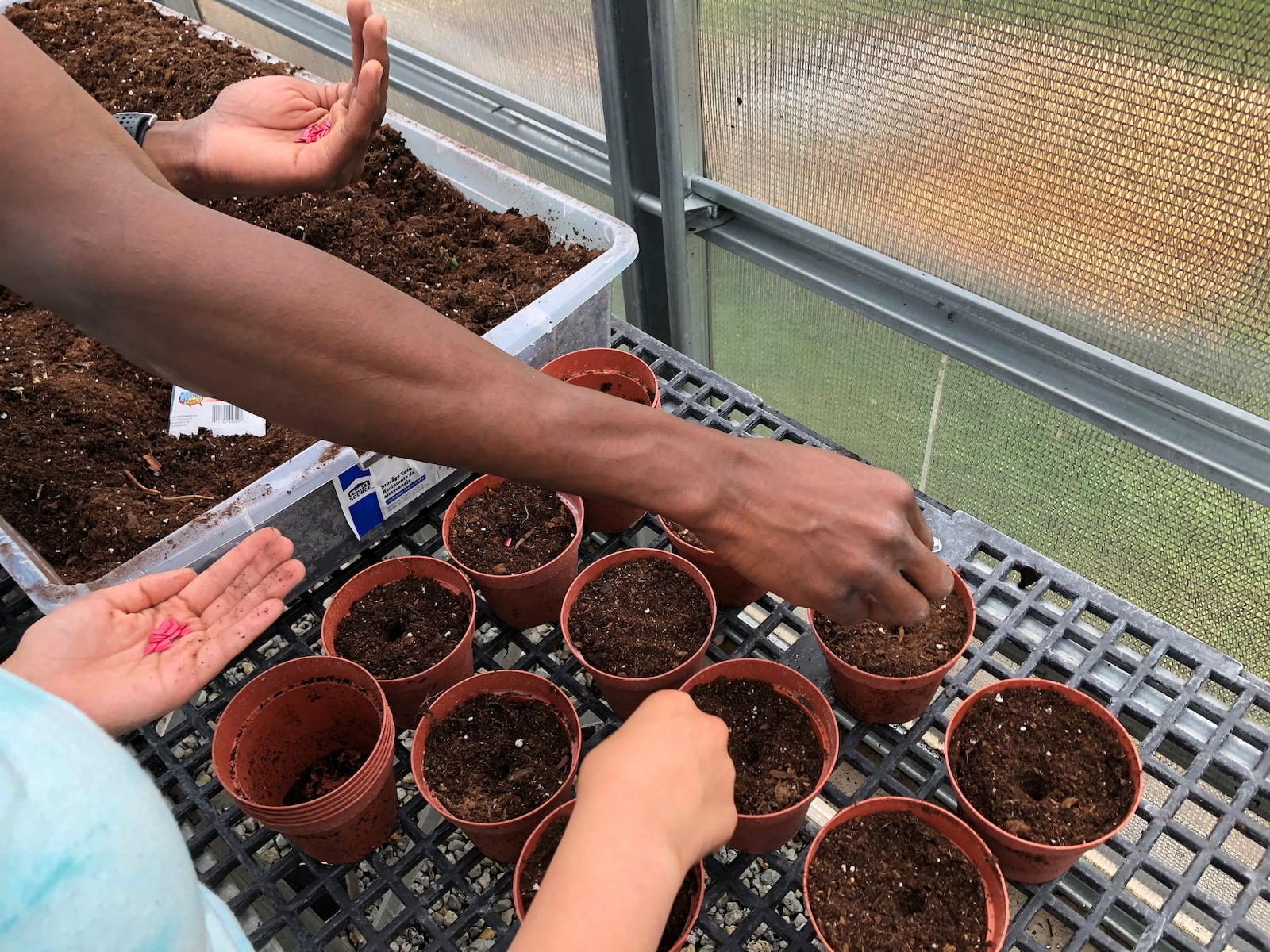 The Greene County Juvenile Court started the greenhouse to help youth offenders in 2018. STAFF/BONNIE MEIBERS