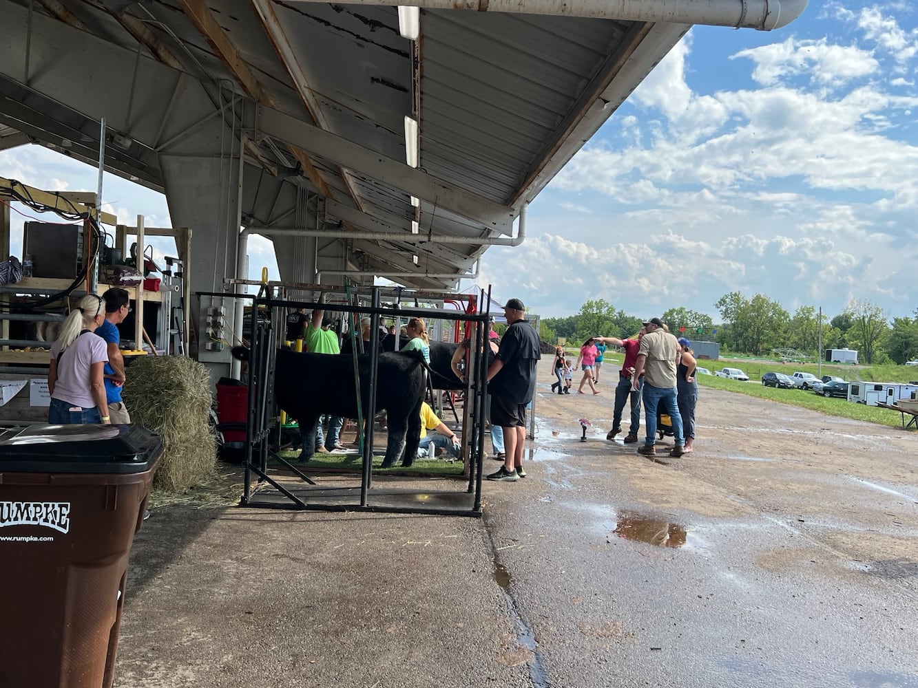 Warren county fair 2024