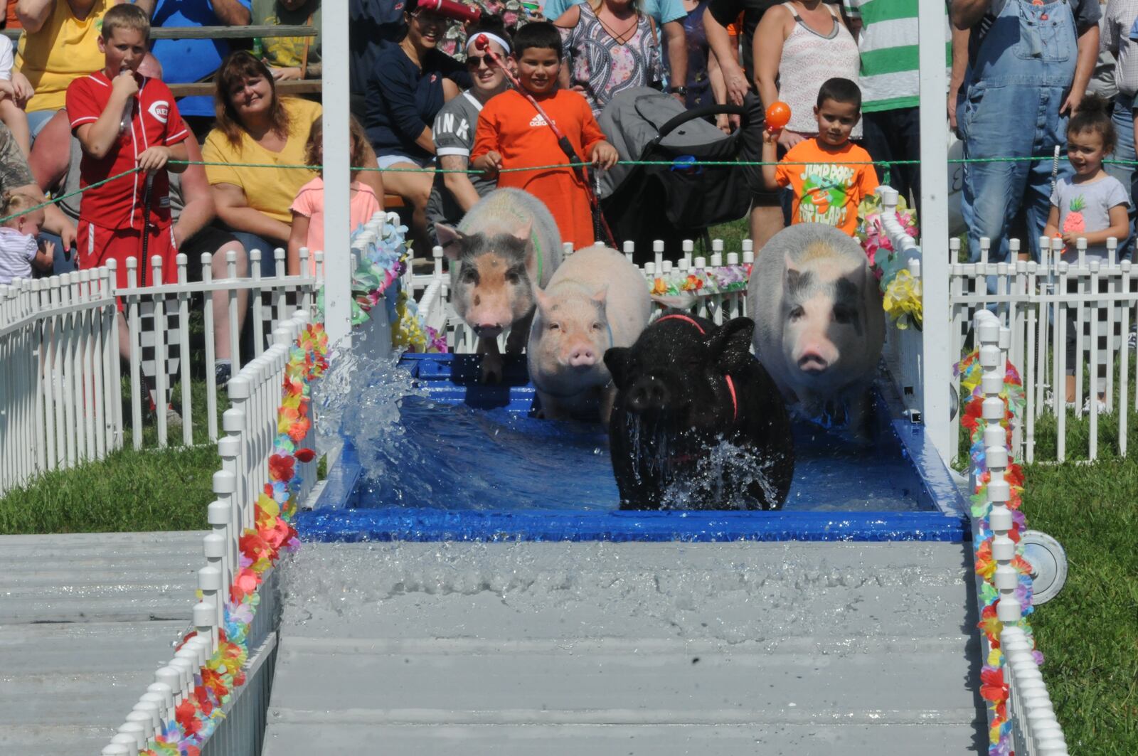 Here's who we spotted at the 2018 Preble County Pork Festival in Eaton on Sept. 15, 2018. DAVID MOODIE/CONTRIBUTED