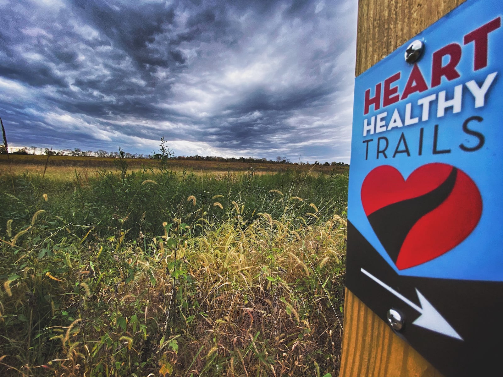 Heart Healthy Trails are located in several MetroParks and offer short, easy-to-walk trails - CONTRIBUTED