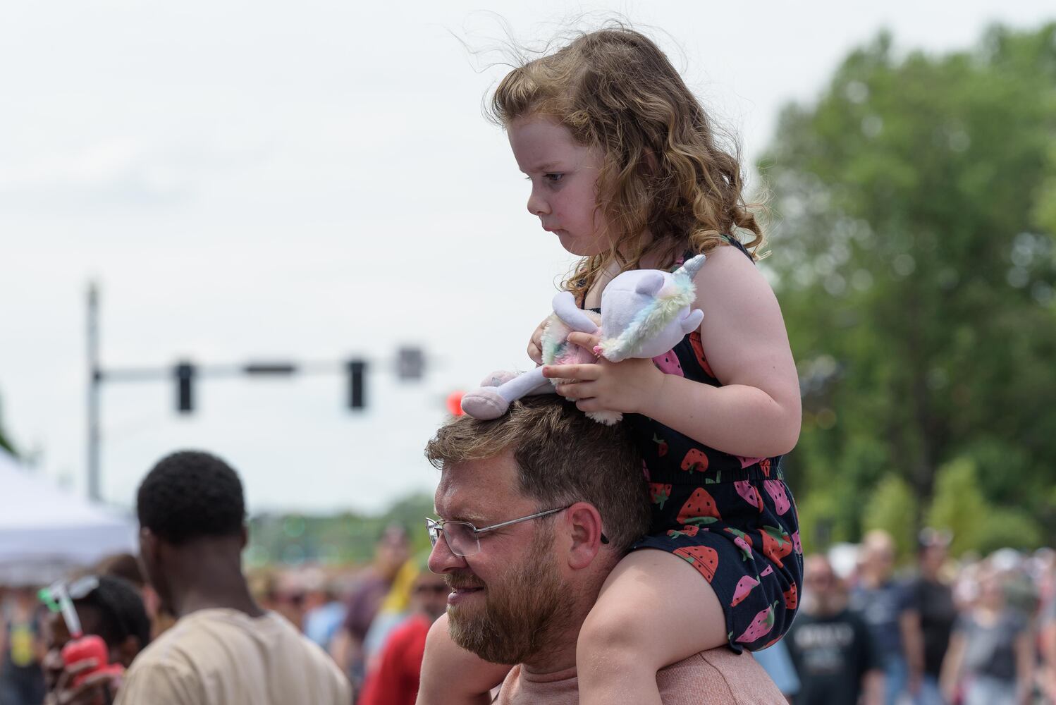 PHOTOS: 48th annual Troy Strawberry Festival