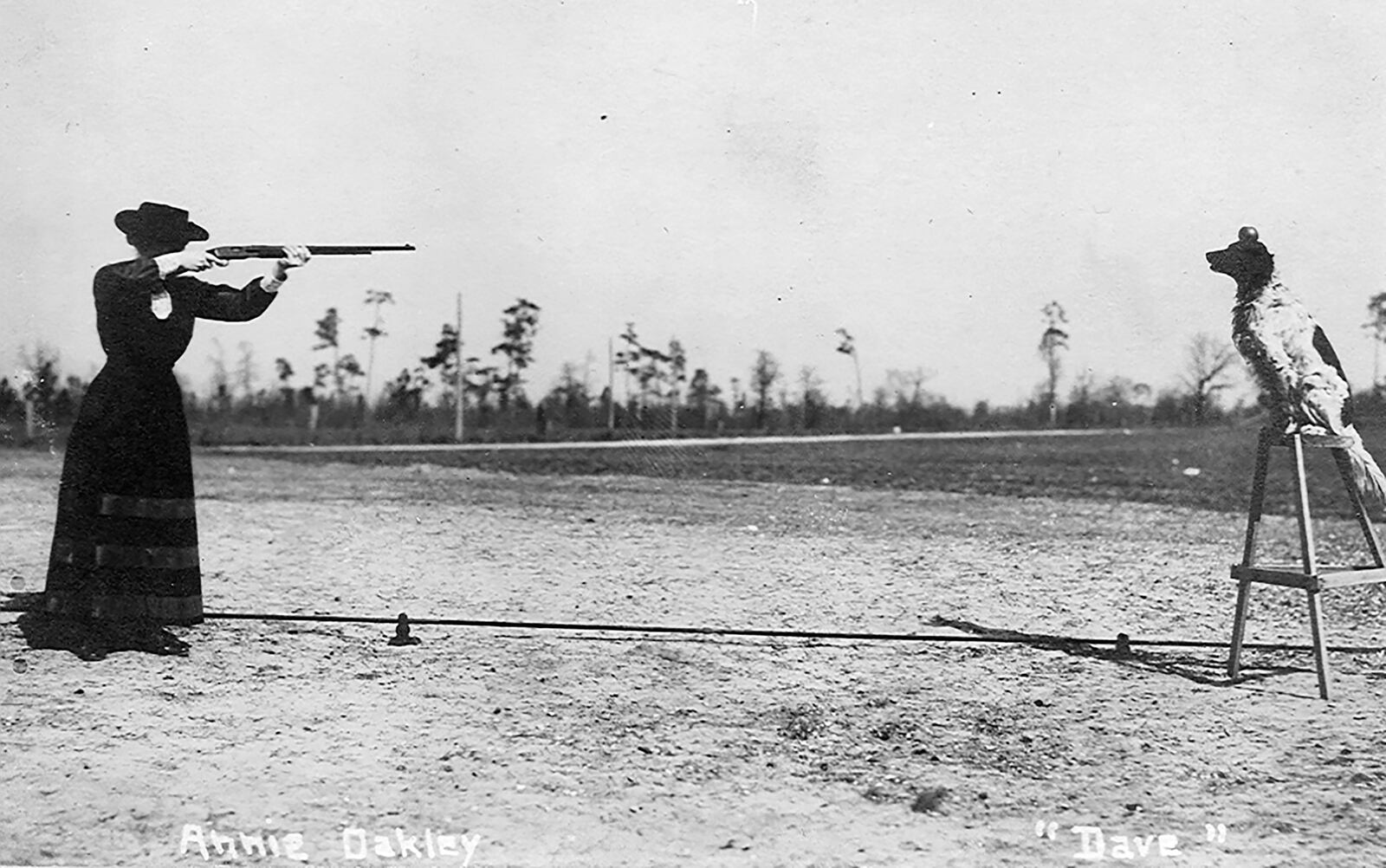 Who wouldnt take a second look at a photograph of dog sitting on a stool with an apple perched on his head while a woman points a gun at him?  Thats Darke County sharp shooter Annie Oakley and her English setter Dave. The dog became so accustomed to the sound of gunfire while hunting with Oakley and her husband Frank Butler the he became part of their traveling show. PHOTO: THE NATIONAL ANNIE OAKLEY CENTER AT TEH GARST MUSEUM