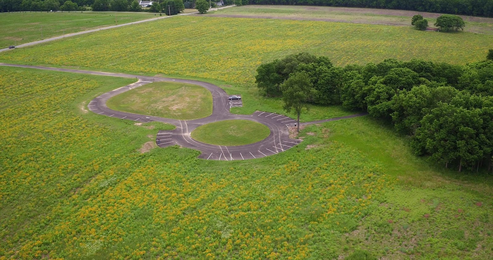 After two years of restoration work, the Bellbrook Sugarcreek Park District’s Morris Reserve prairie is in full bloom with coreopsis, red clover and other wildflowers. TY GREENLEES / STAFF