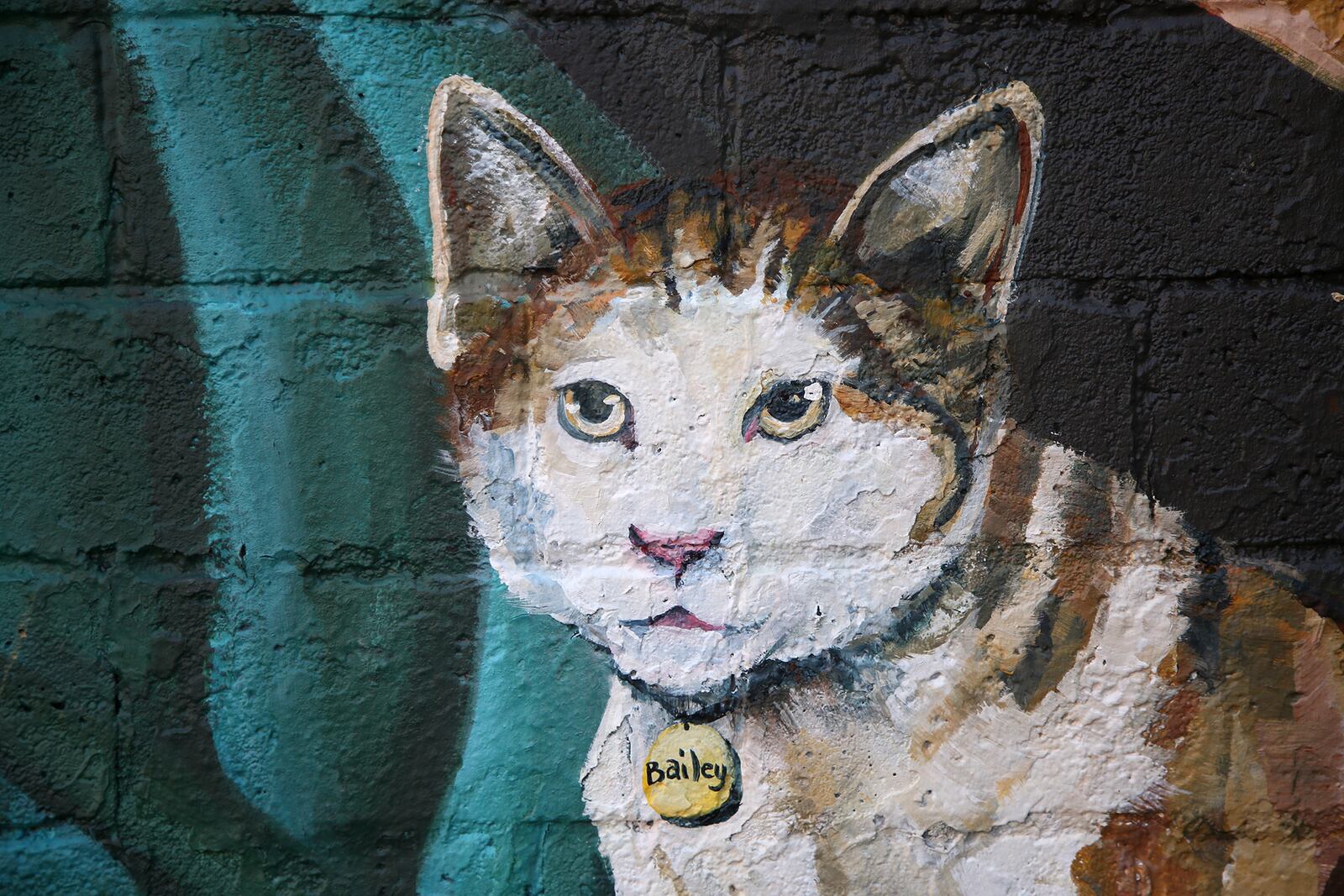 Tiffany Clark of the Mural Machine is creating a mural of cats on the side of Lilyâs Bistro in Daytonâs Oregon District. People who pay a fee will be able to submit pictures of their cats for realistic paintings on the west side of the restaurant. The project is a fundraiser for local groups dedicated to animal welfare. So far 40 cats are committed to the project and there is room for 85 feline portraits.  LISA POWELL / STAFF