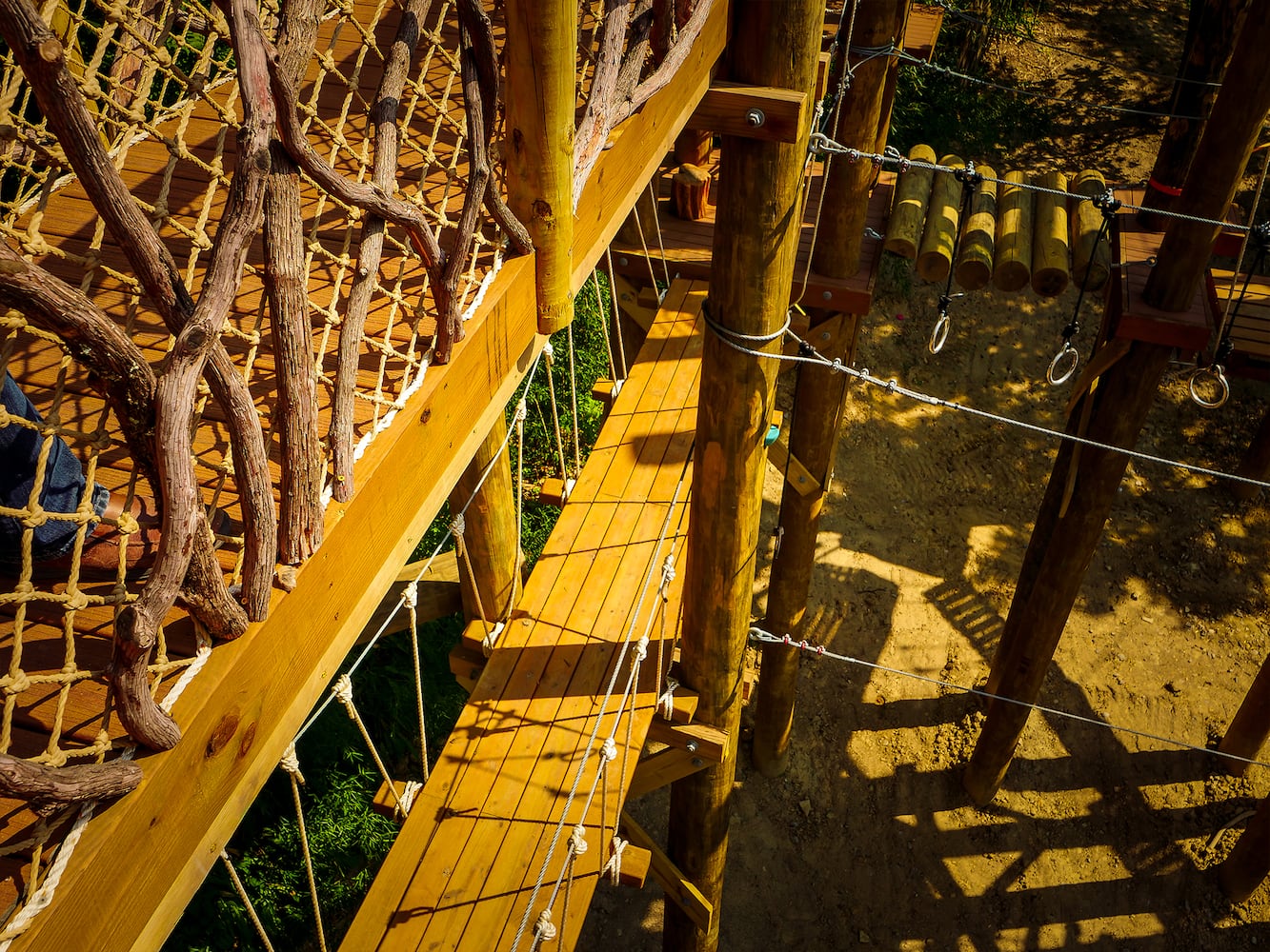 PHOTOS: Cincinnati Zoo’s new aerial adventure course will test your climbing skills