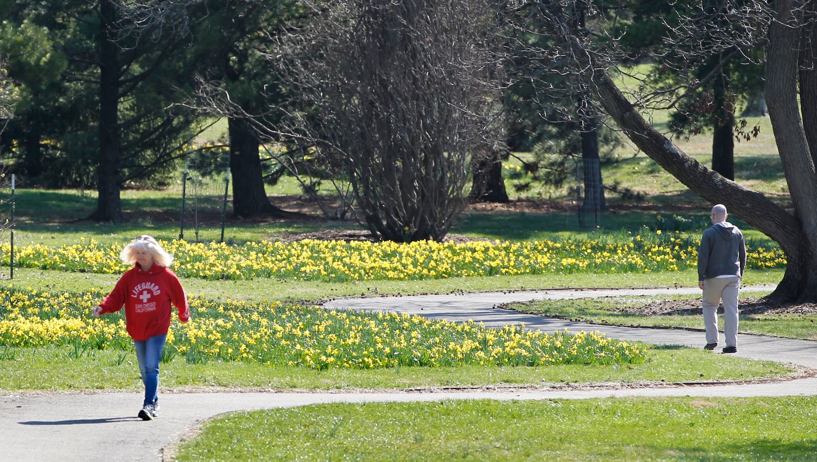 Spring flowers bloom at Cox Arboretum MetroPark.  LISA POWELL / STAFF