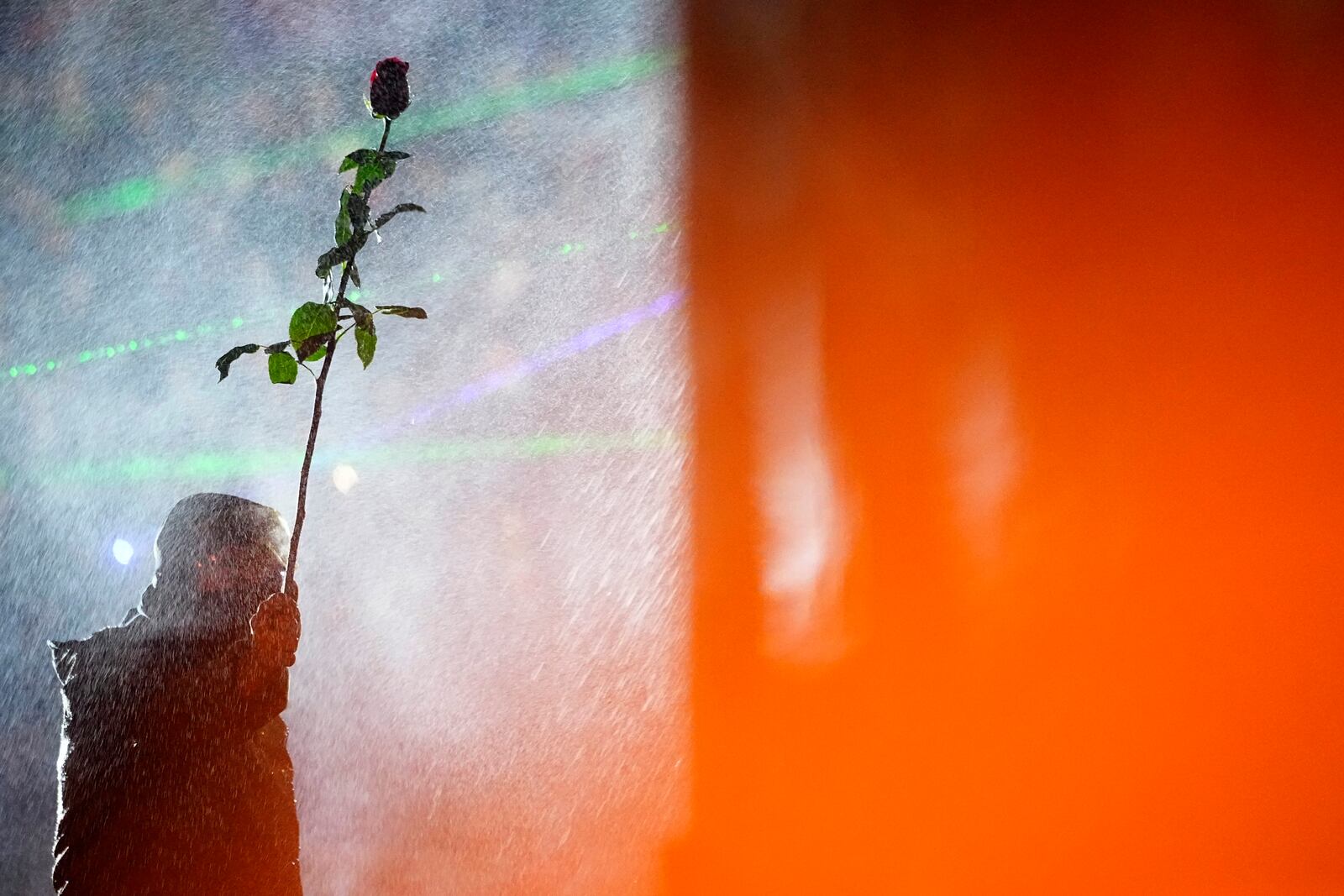 FILE - A demonstrator holds a rose while standing under running water from a fire pump used by police during a rally outside parliament in Tbilisi, Georgia, on Dec. 3, 2024, to protest the government's decision to suspend negotiations on joining the European Union. (AP Photo/Pavel Bednyakov, File)