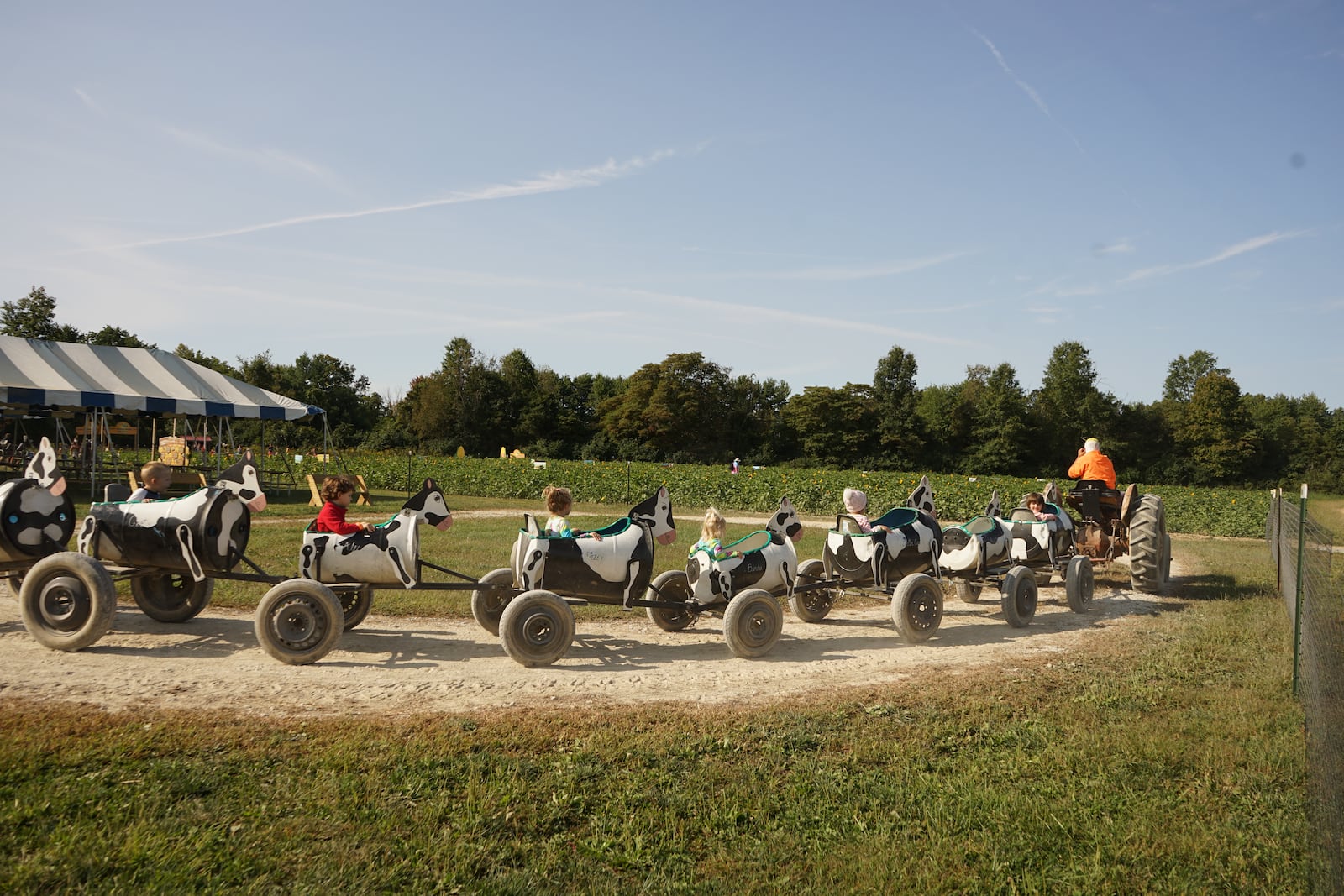 Blooms and Berries offers two corn mazes, a 15-20 minute mini-maze for young children and their families and a 5-acre, approximately one-hour maze for adults. CONTRIBUTED