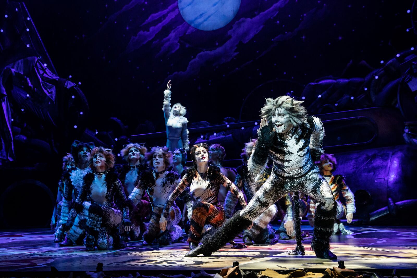 Dan Hoy as Munkustrap and the North American Tour of "CATS."