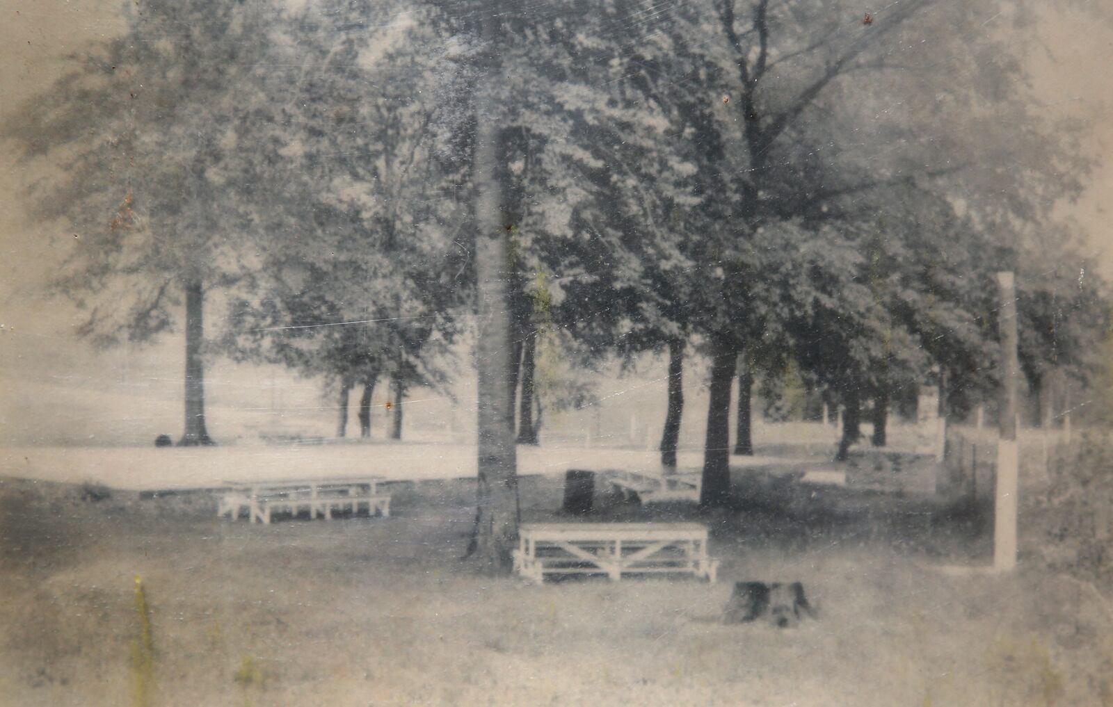 An outdoor dance floor surrounded by picnic tables stood among a stand of trees at Argonne Forest Park, a popular amusement park for Daytonians in the 1930s. People in 1931 paid a quarter to dance under the stars to Jack Klingâs Orchestra. FIVE RIVERS METROPARKS