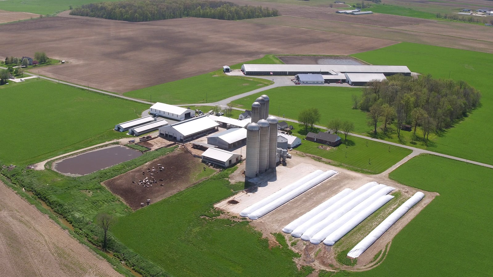 Buschur Dairy Farm in Darke County.  The farm has more than 600 Holstein dairy cows that are milked three times a day.  Some counties in Ohio have seen a decline in the number of dairy farms in the past few years.   TY GREENLEES / STAFF