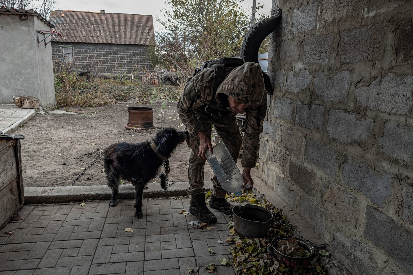 Pipa Vasyl, a policeman of the White Angels" unit gives water to a dog abandoned by its owners who left the town of Kurakhove, Donetsk region, Ukraine, on Nov. 4, 2024. (AP Photo/Anton Shtuka)